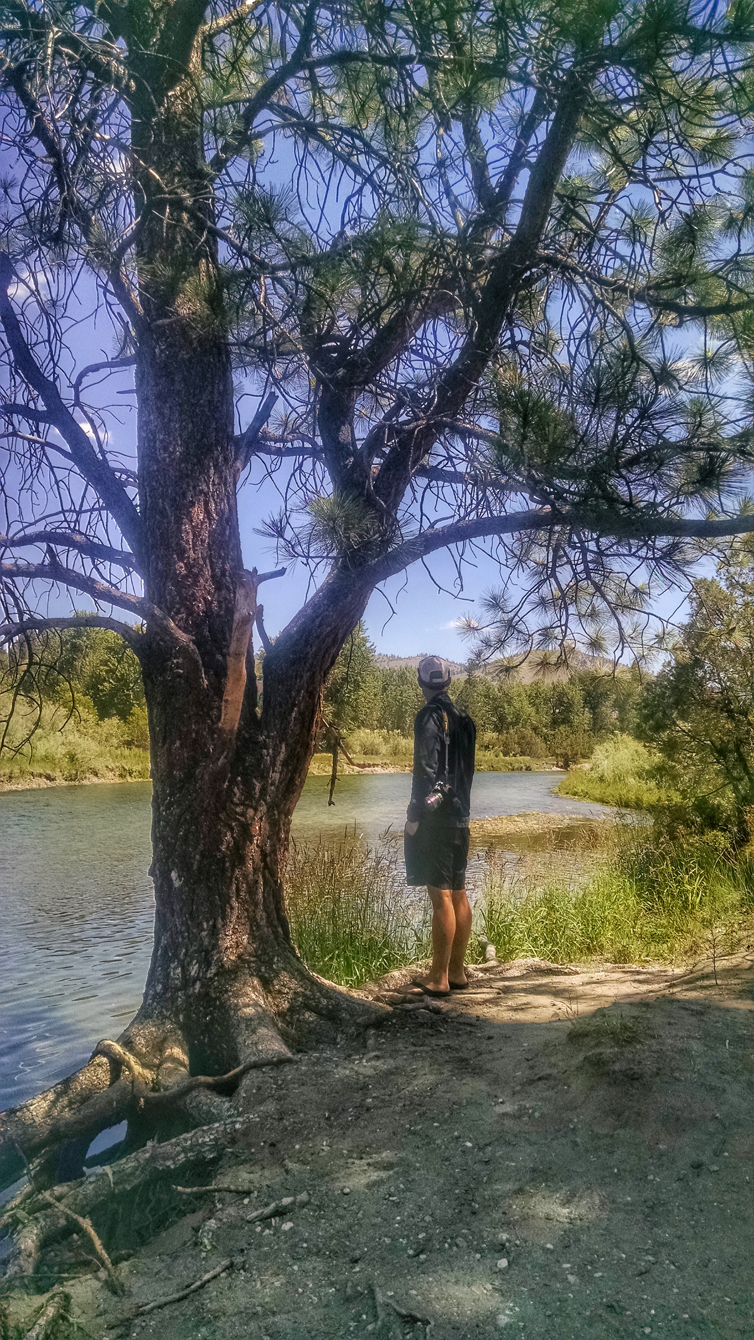 Montana- even the rest stops were beautiful here.