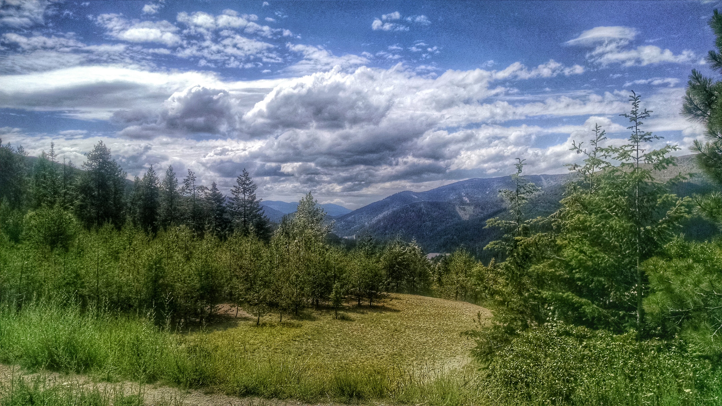 Views on the drive from Montana to Idaho