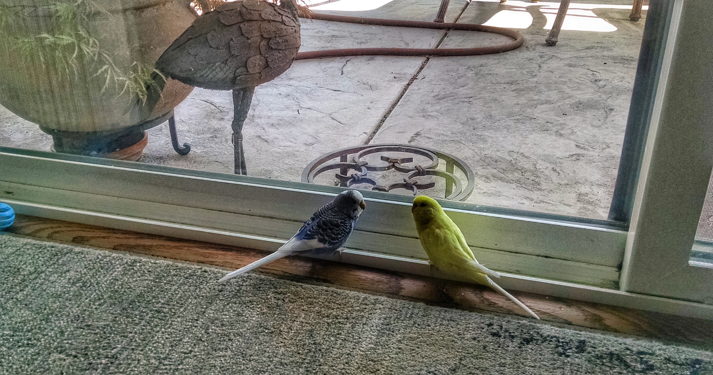We enjoy looking out the window and staring lovingly into each other's eyes.