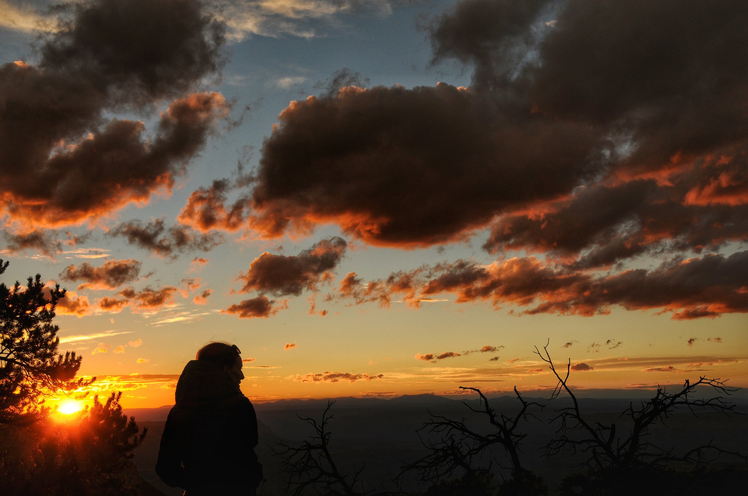 DSC_8332-1-02.jpeg
