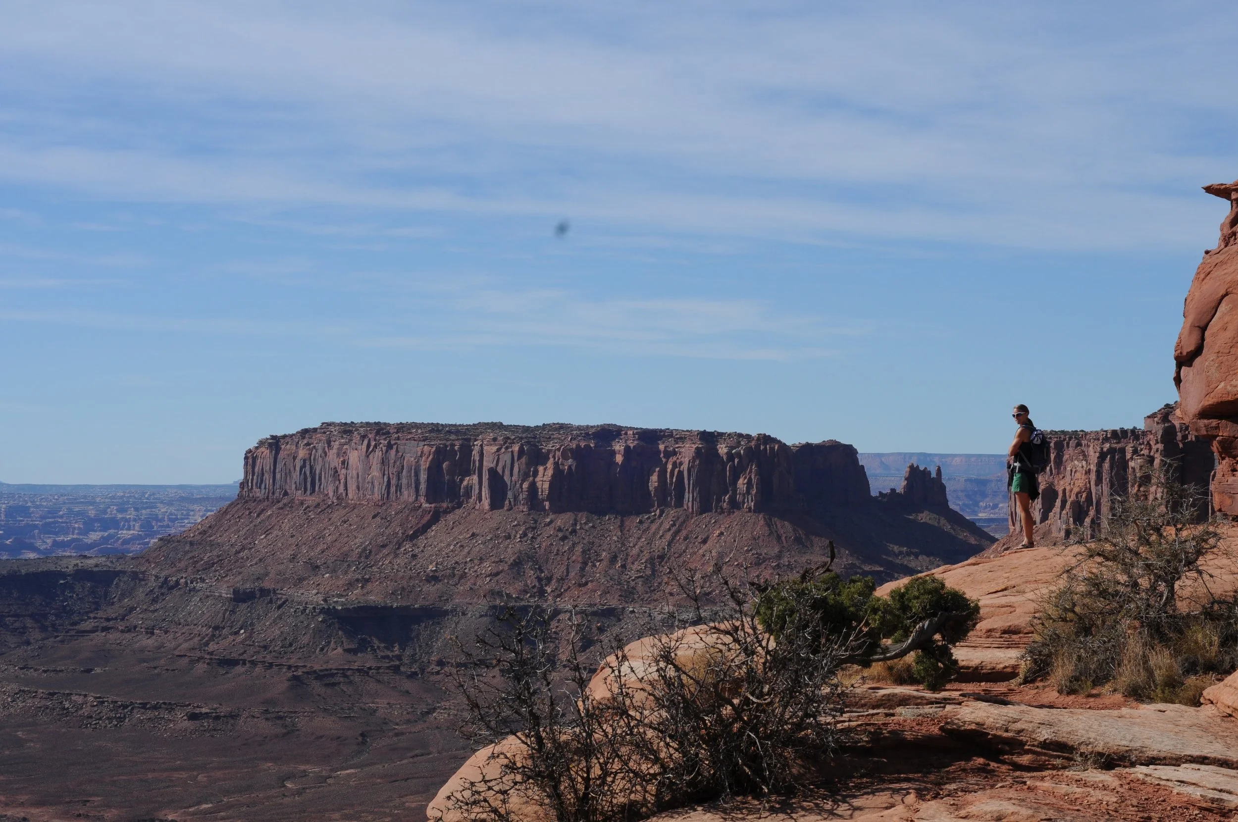 DSC_0334.jpg