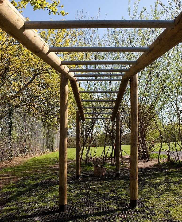 monkey bars.jpg