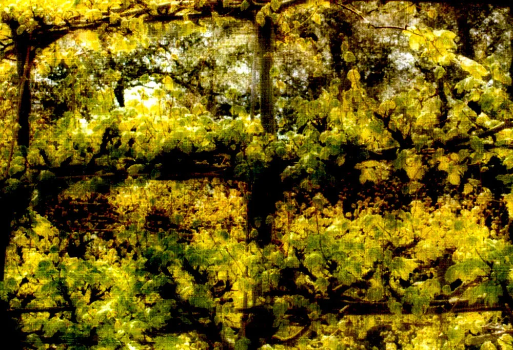 “Leaves,” alternative process photo, 28 X 41 in., © 2017 Bill Travis