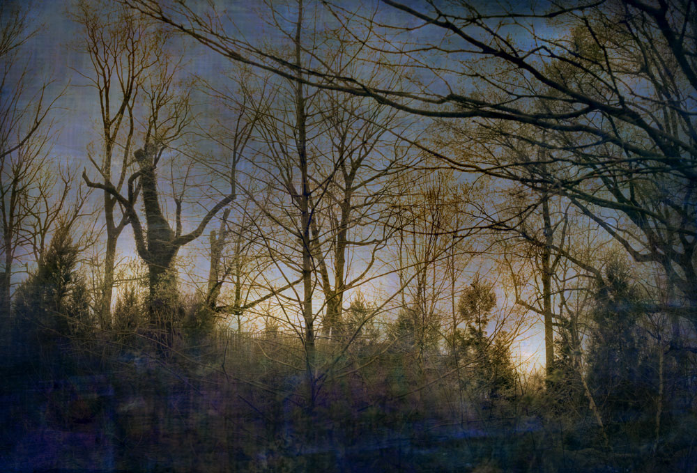 “Dark wood,” alternative process photo, 29 X 23 in., © 2017 Bill Travis