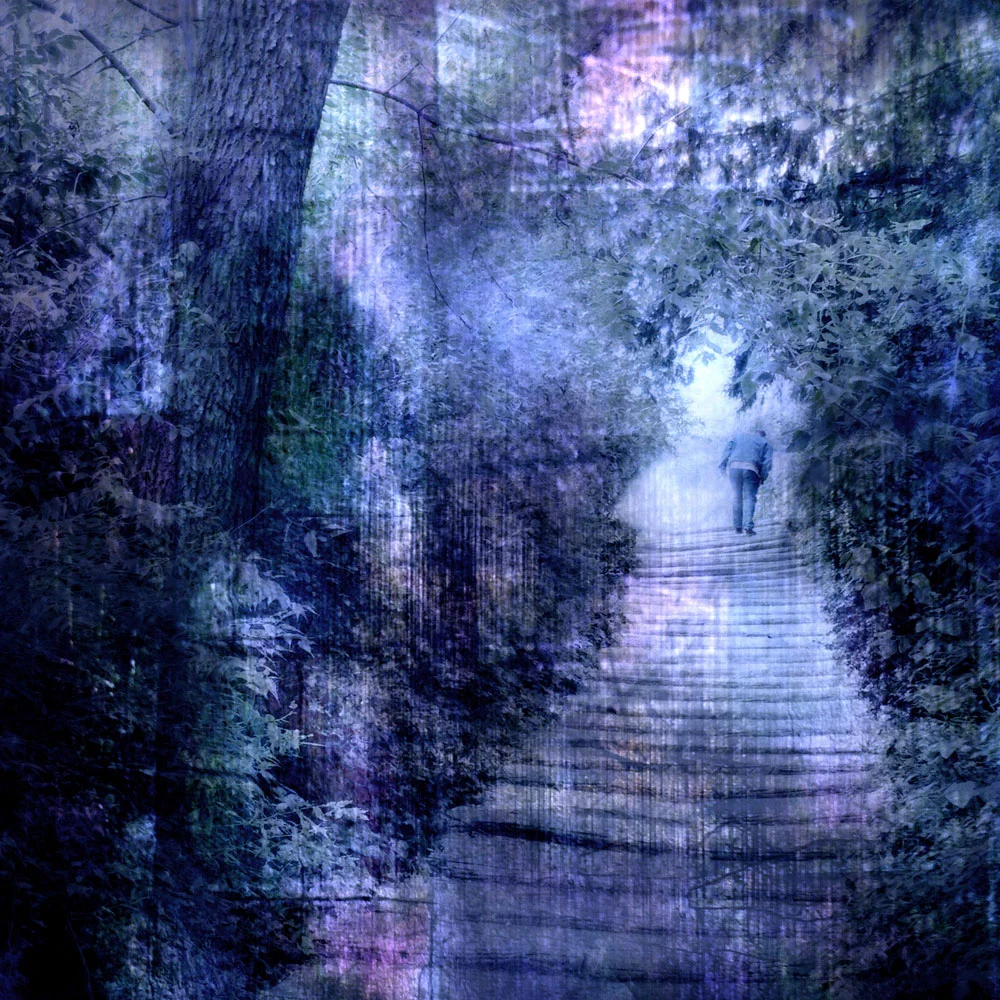 “Climbing,” alternative process photo, 23 X 23 in., © 2017 Bill Travis