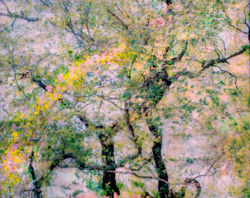 “Pink sky,” alternative process photo, 34 X 43 in., © 2018 Bill Travis