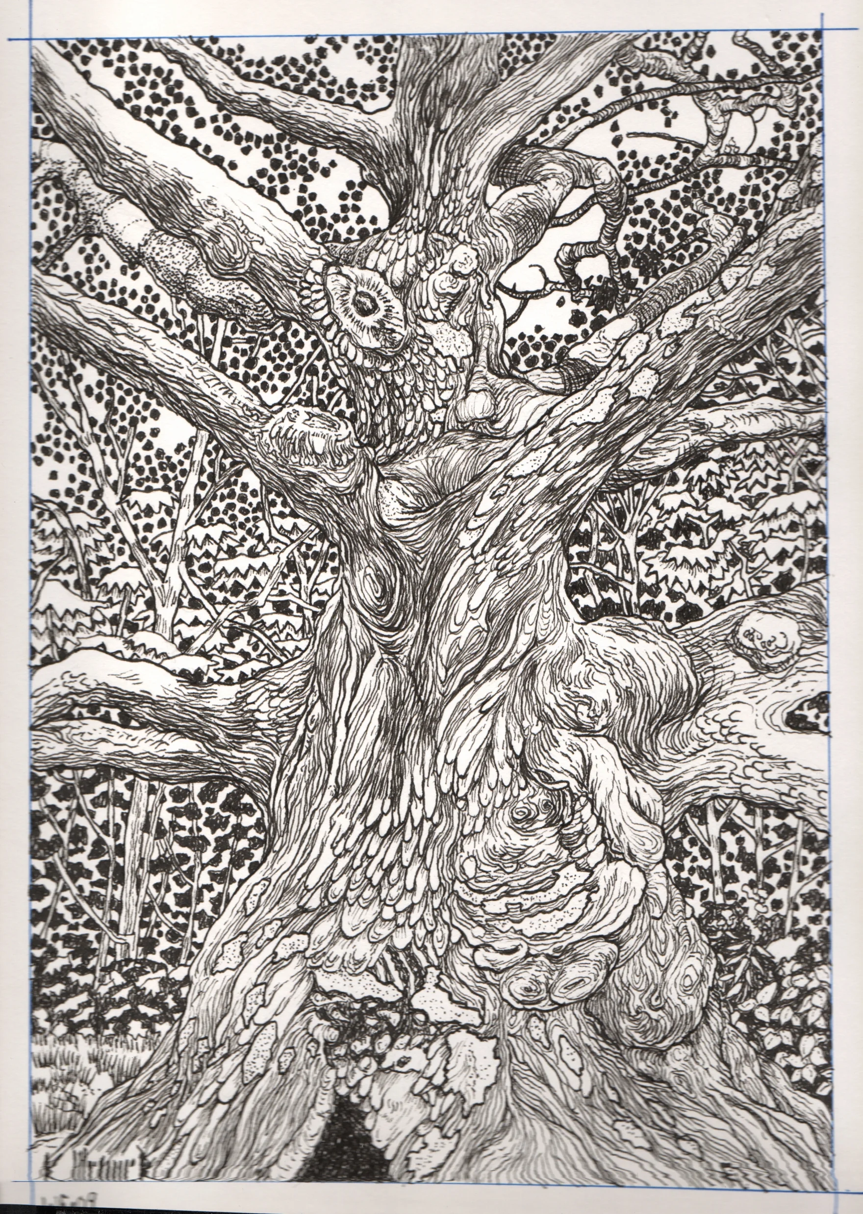 Ancient Tree