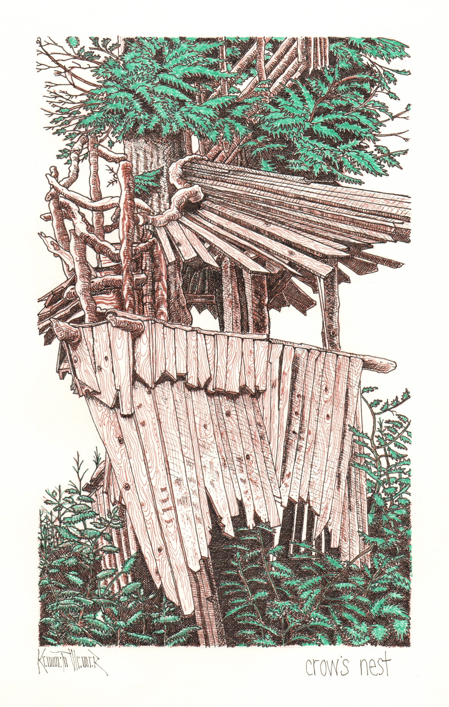 Crow's Nest