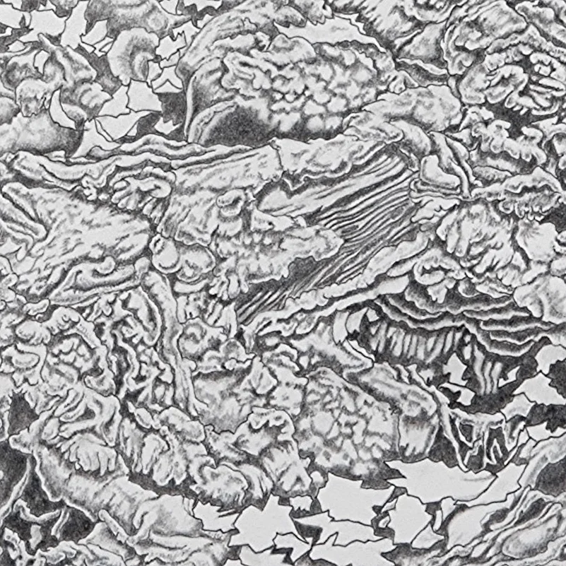 Detail from His World