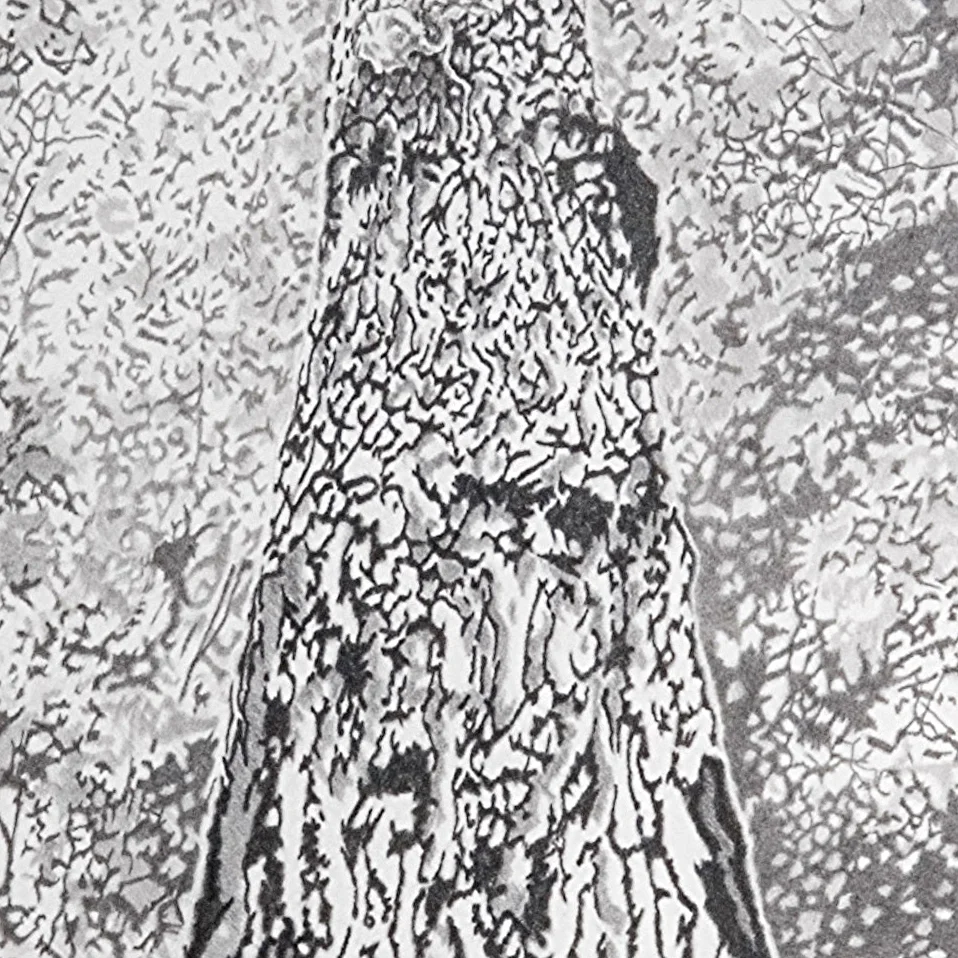 Detail from Old Tree