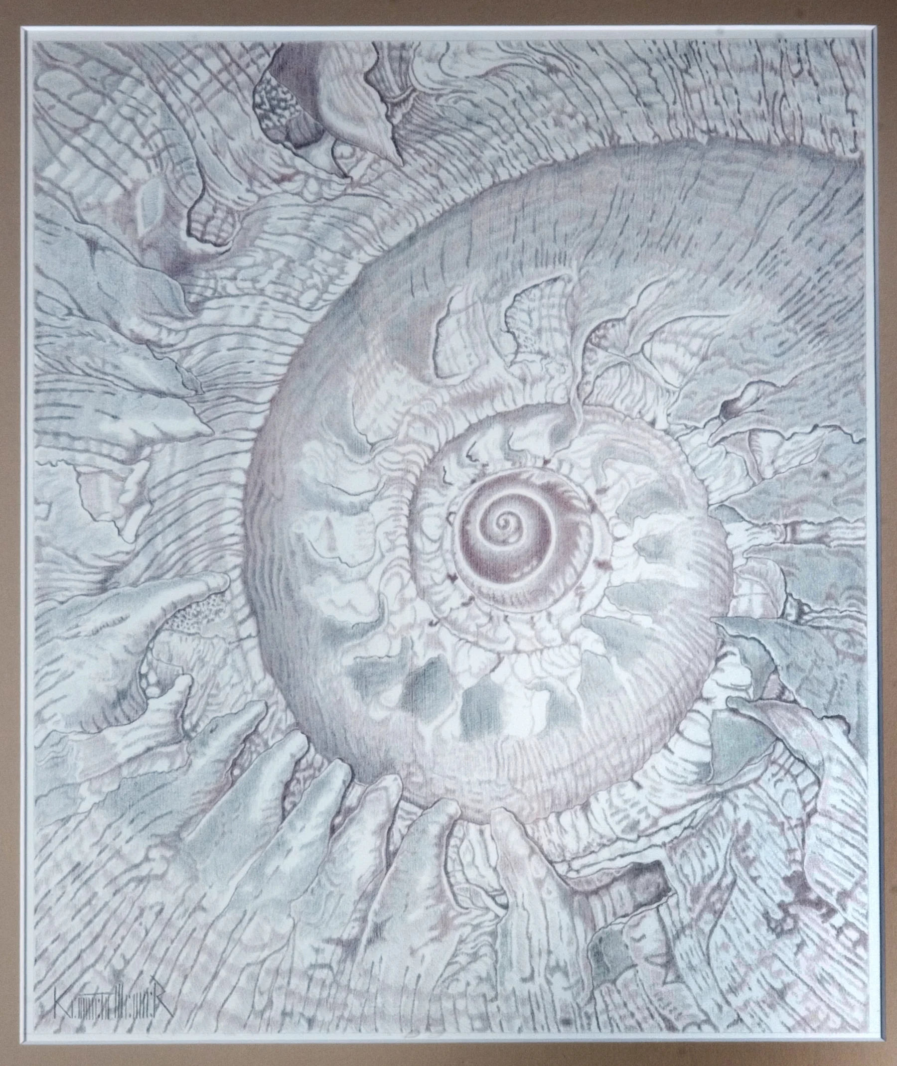 Shell