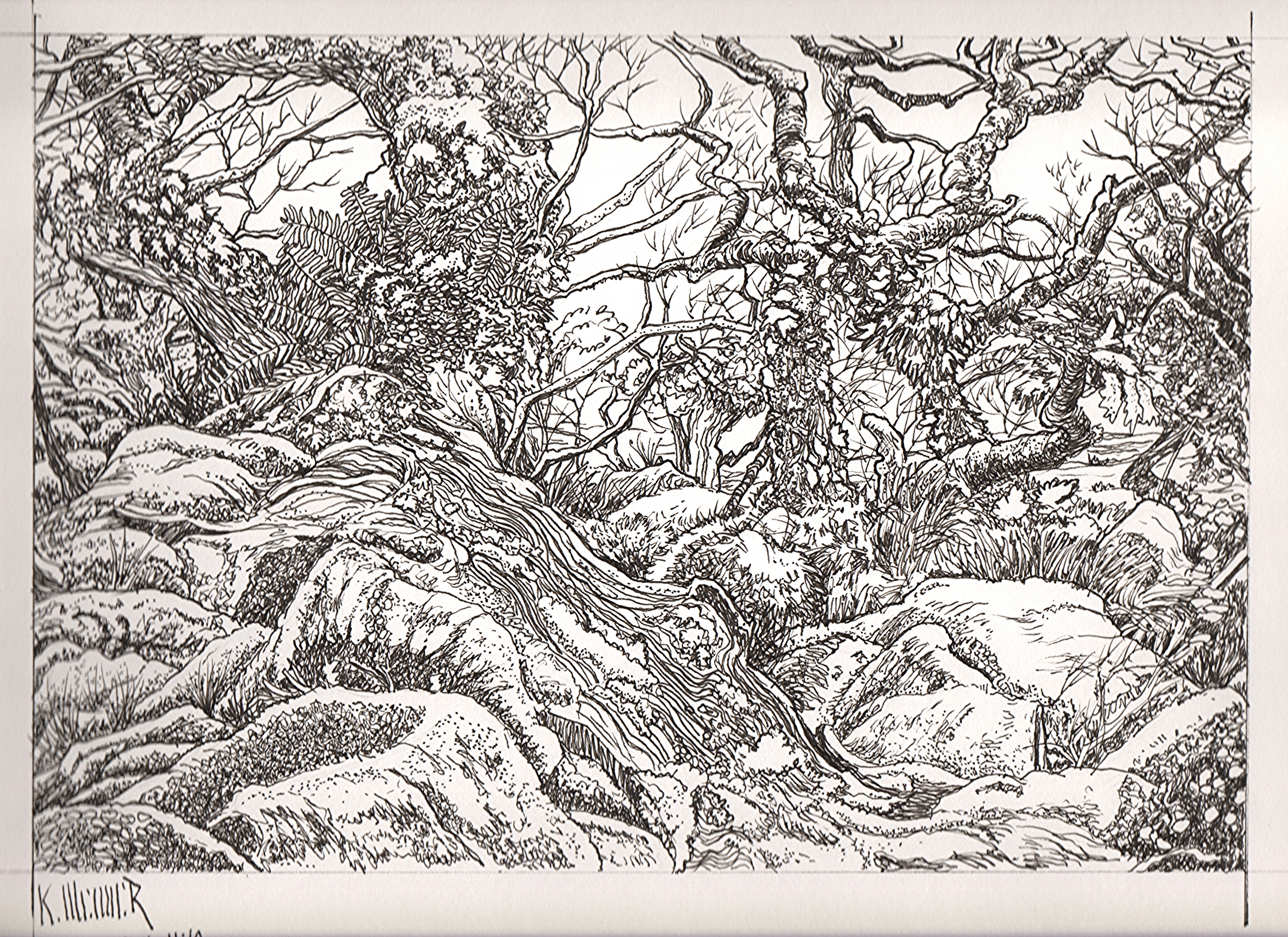 The Wild Wood