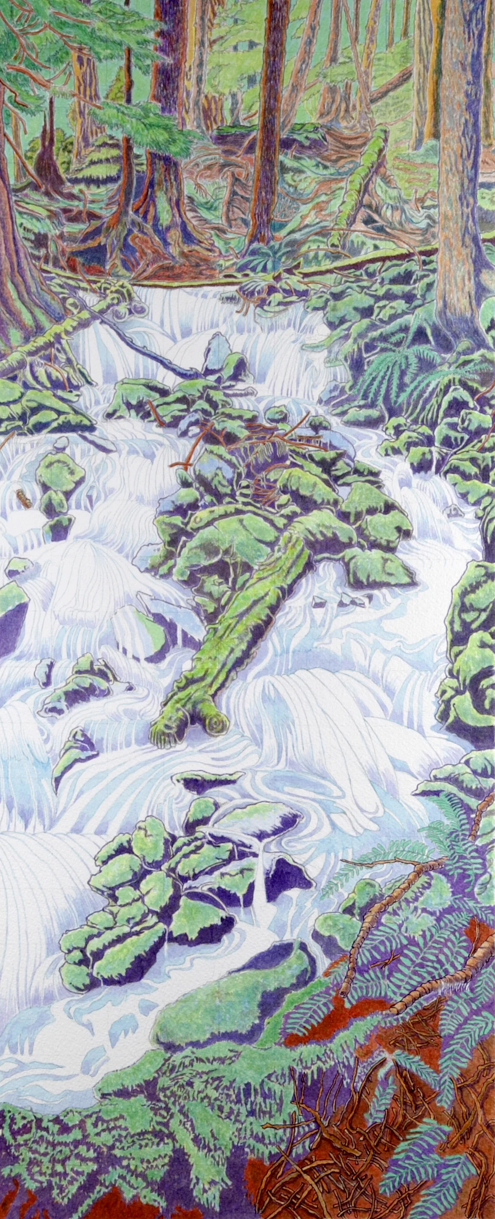 Woodland with Mossy Logs