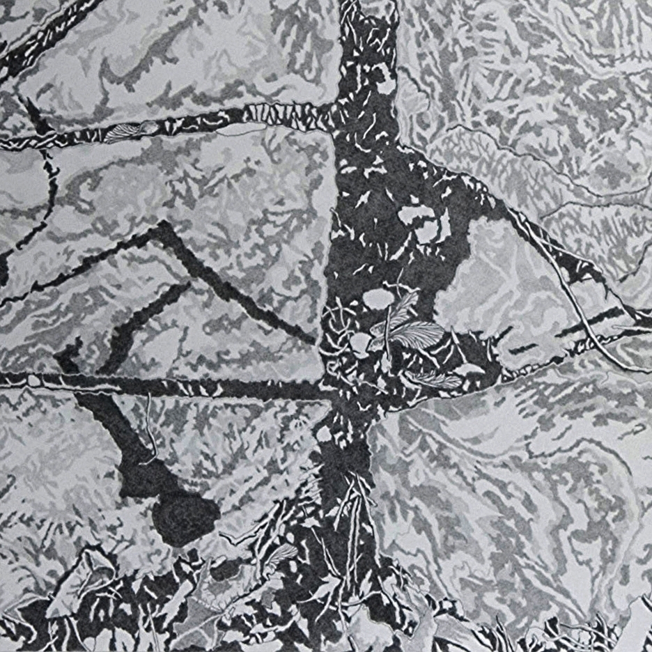 Detail from Lascaux on the Sidewalk