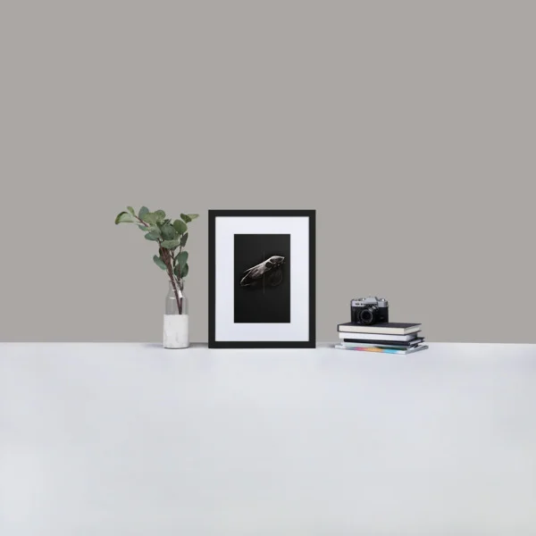 HORSESKULL-PRINT-frame.jpg