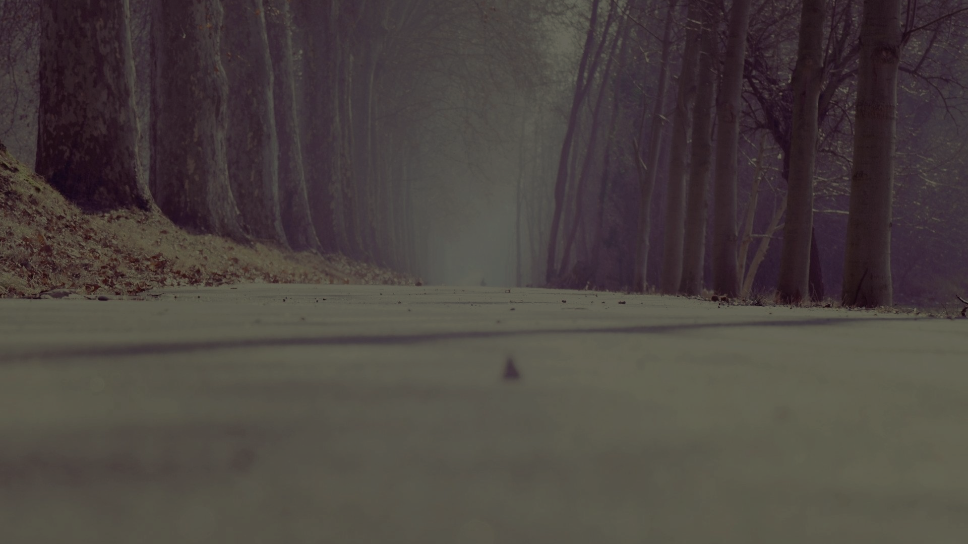 path-for-road.png