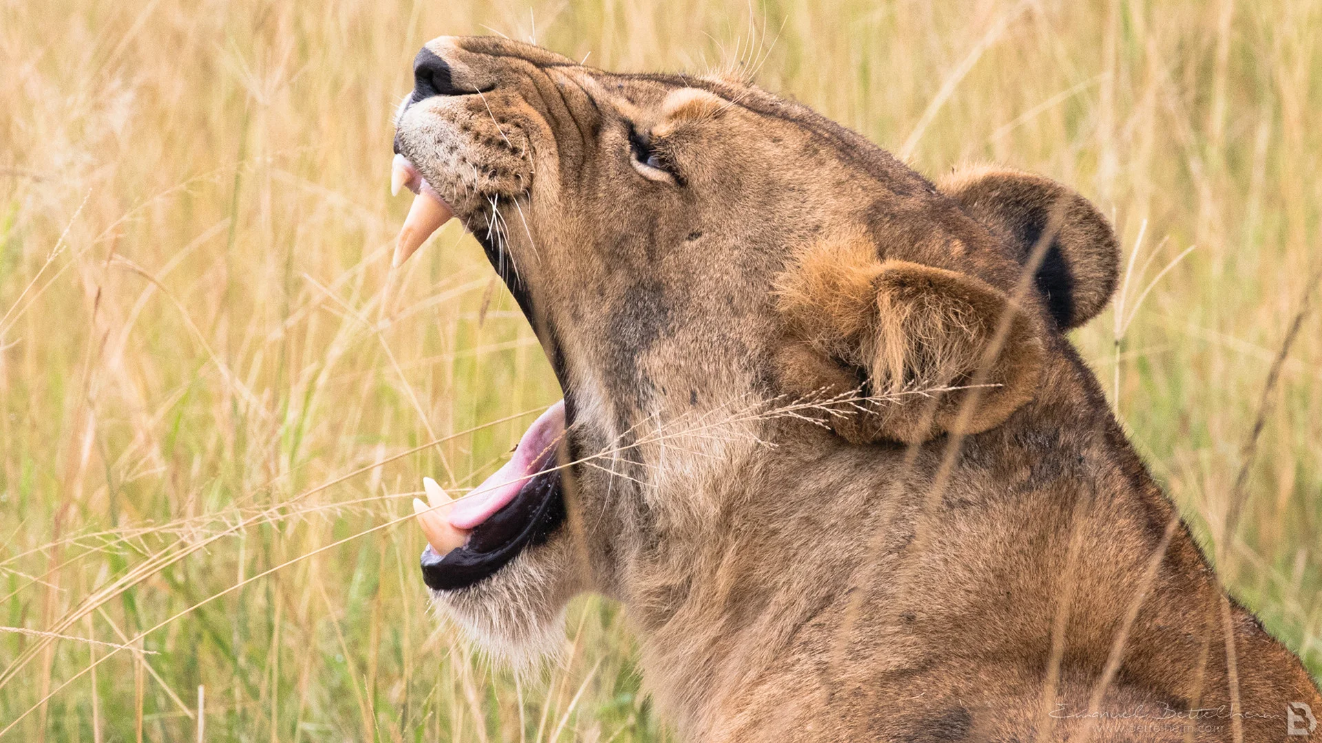 0A5A1791.jpg