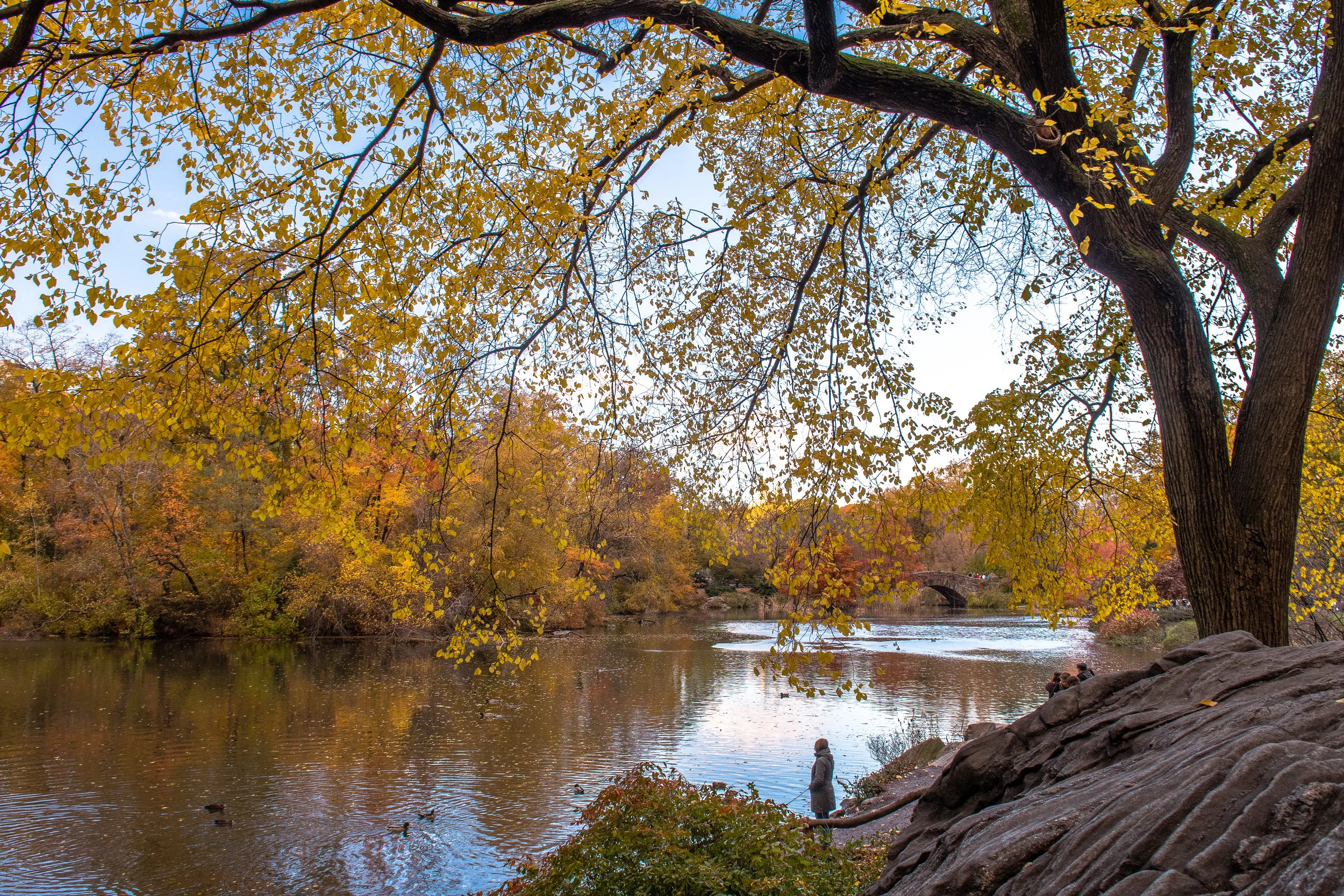 webCentral Park002.jpg