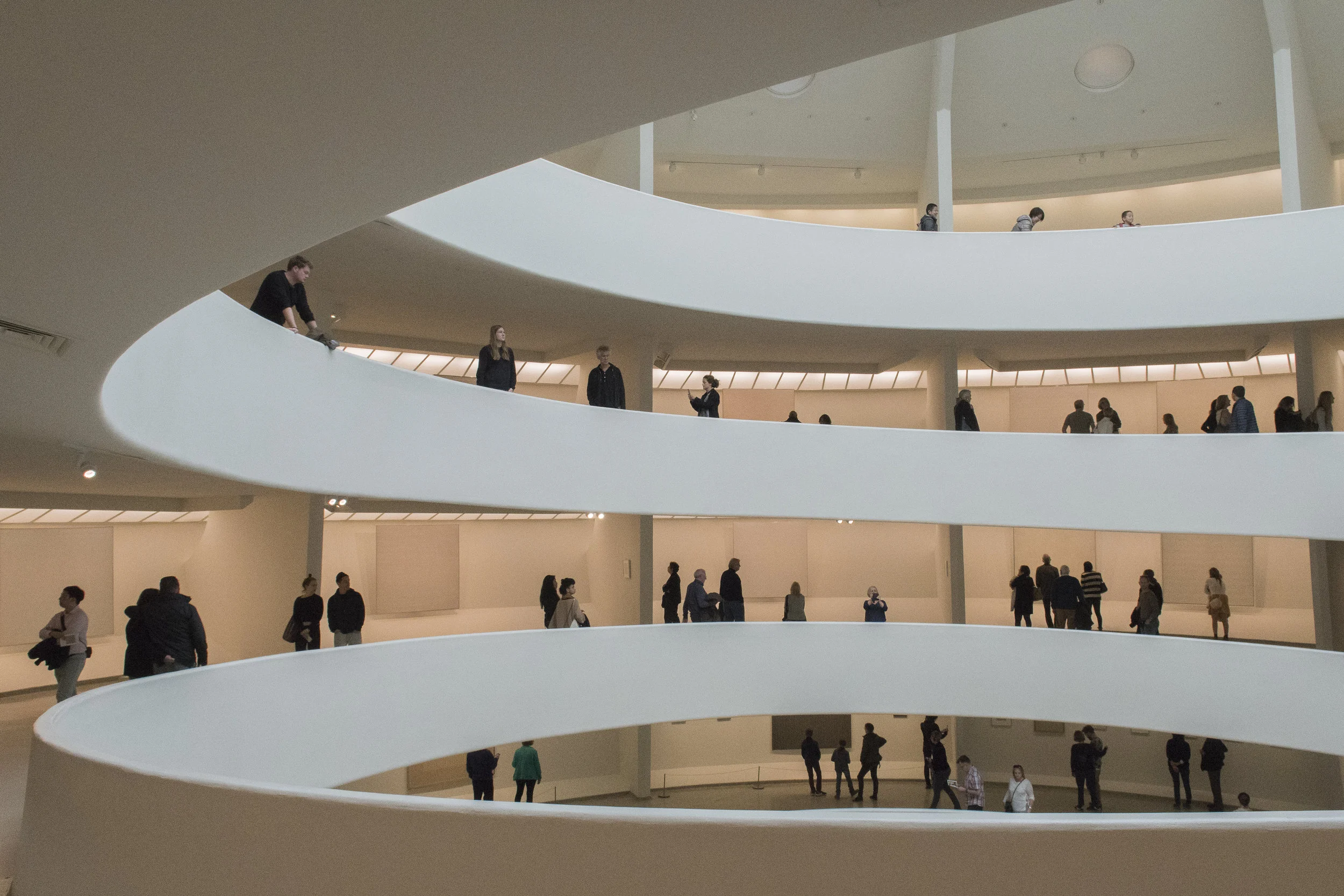 Guggenheim001 .jpg