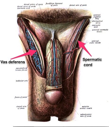 Anal pain after ejaculation