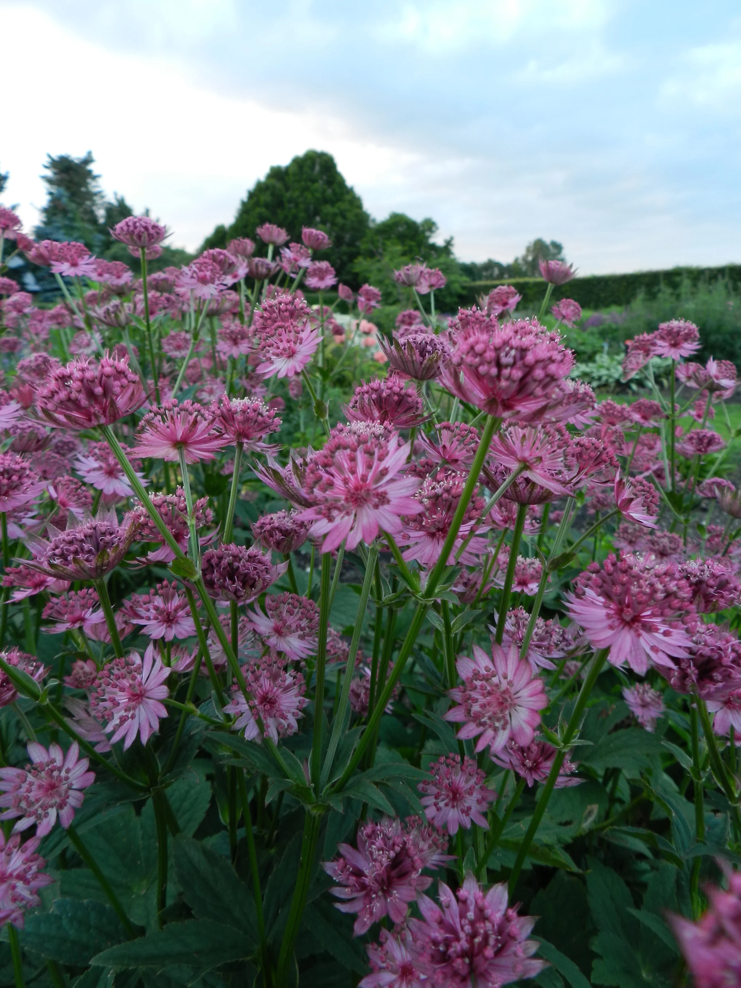 DSCN0650.JPG