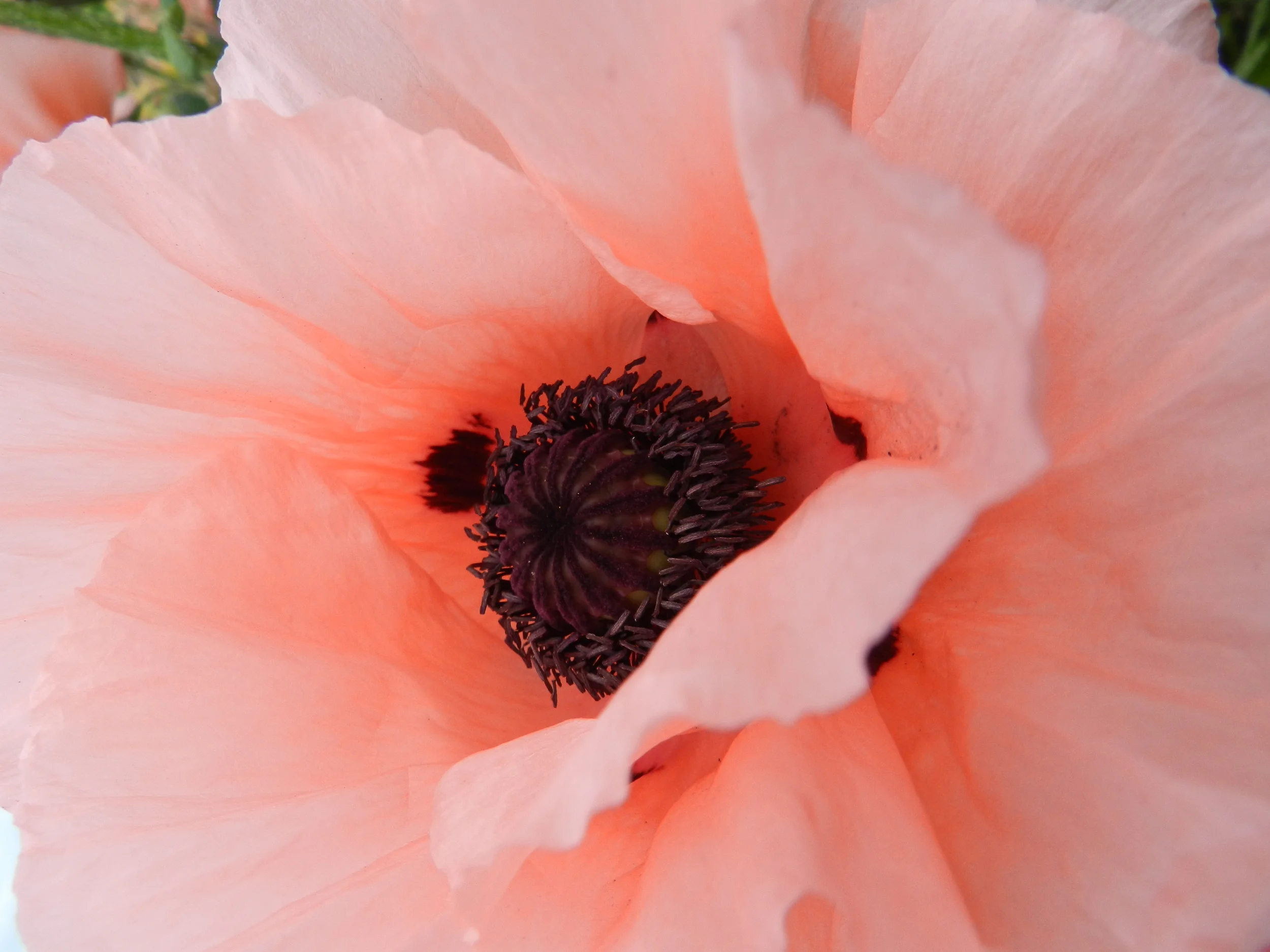 DSCN0659.JPG