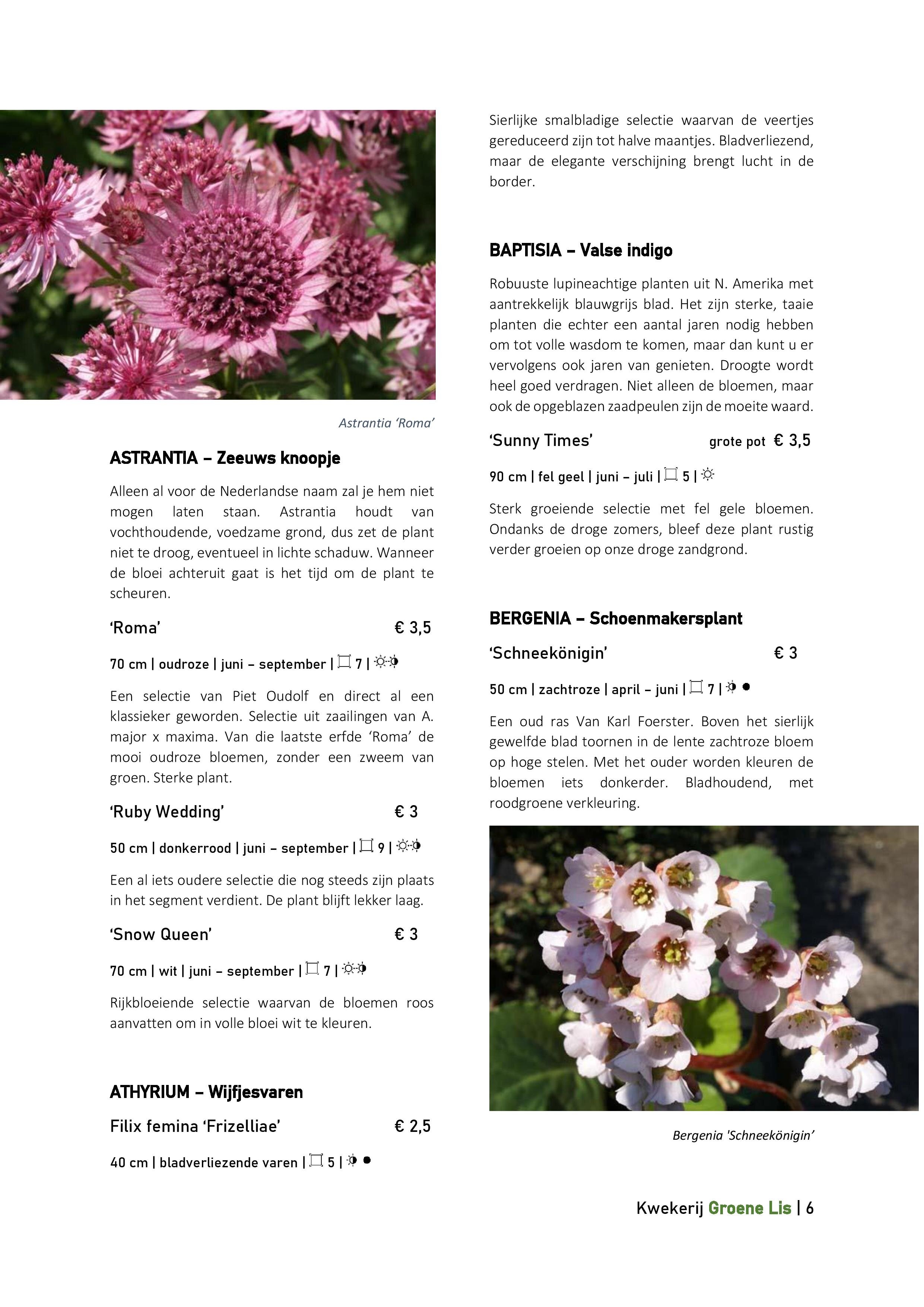 Catalogus_Groene Lis_2020-page-006.jpg