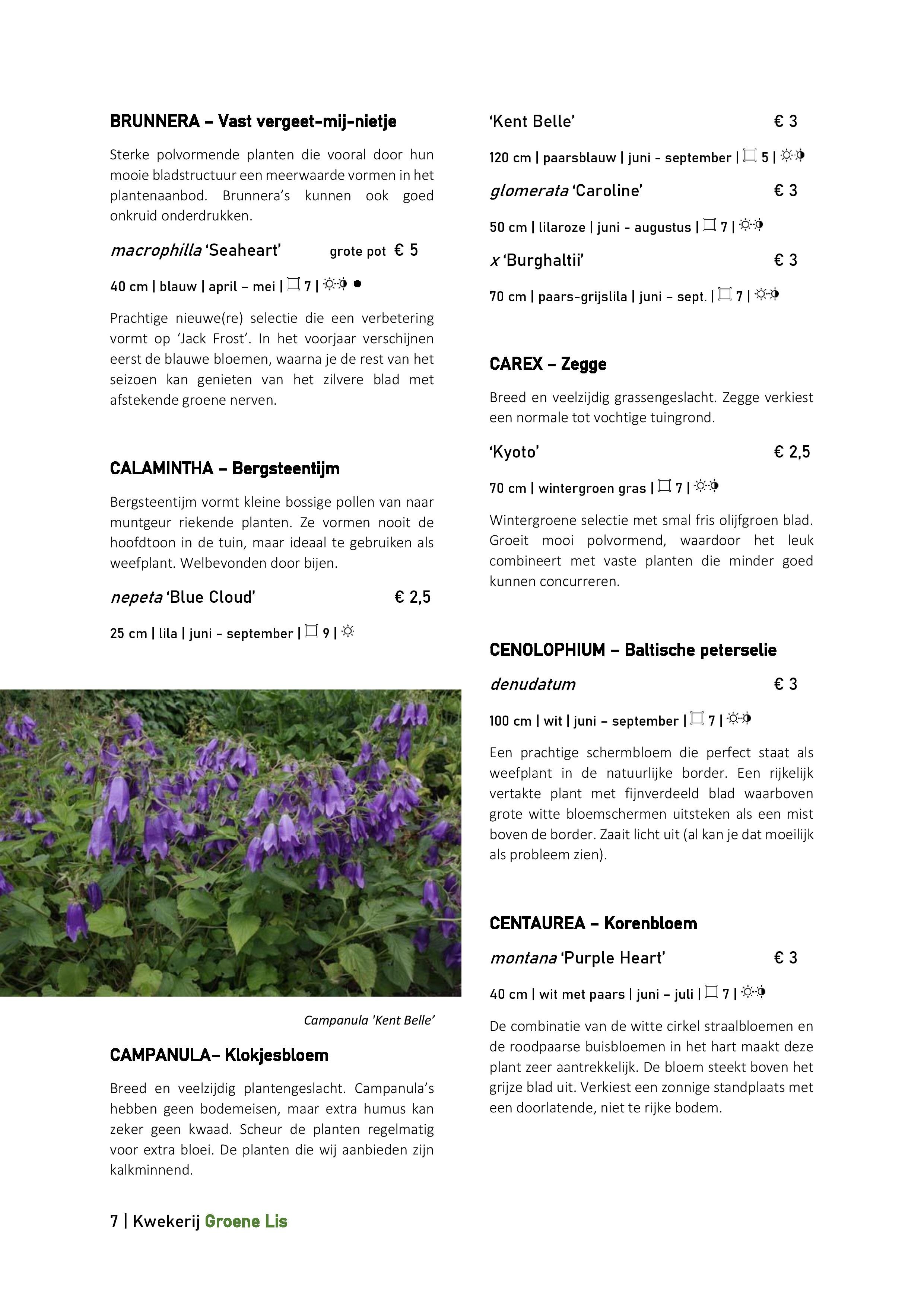 Catalogus_Groene Lis_2020-page-007.jpg