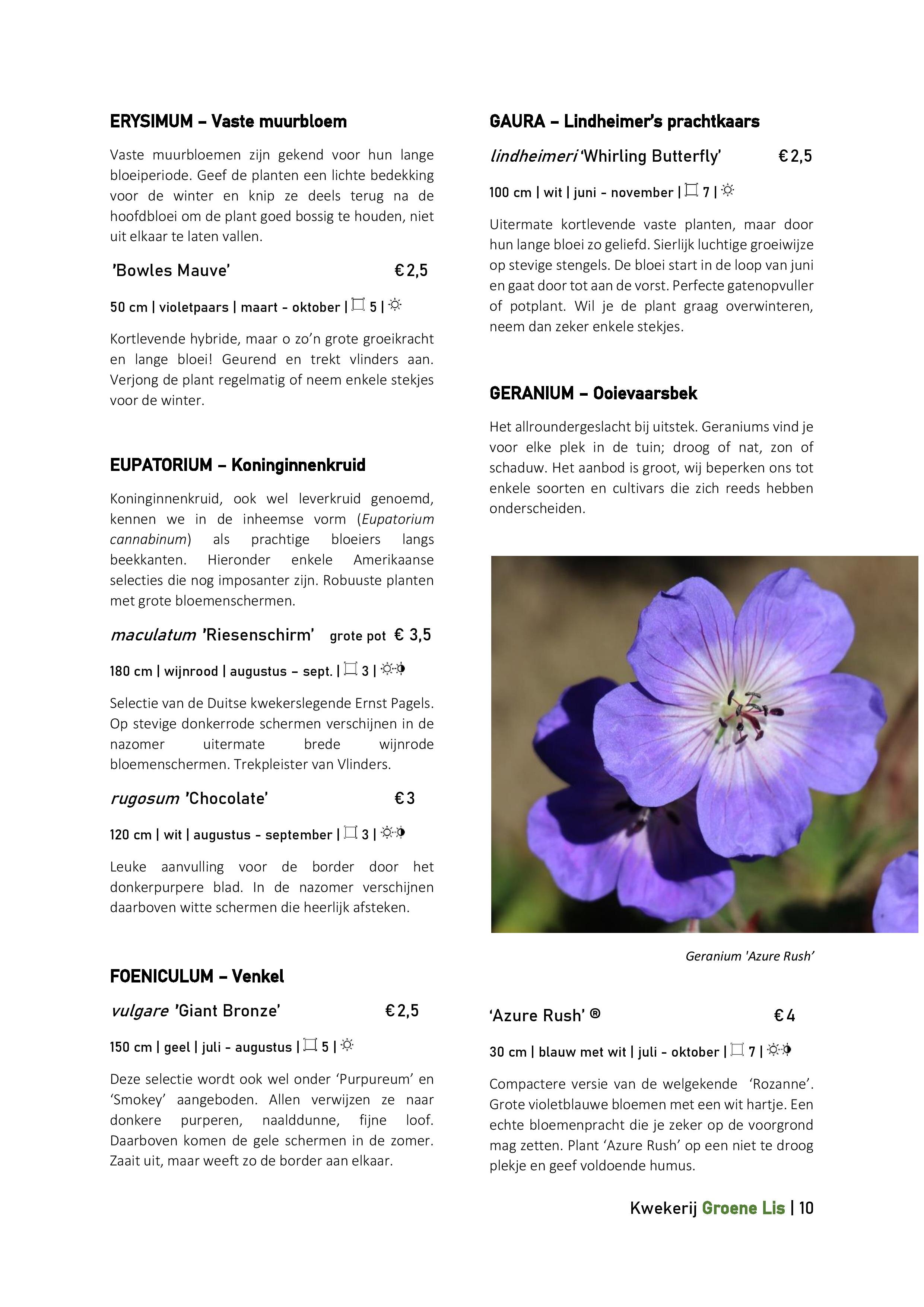 Catalogus_Groene Lis_2020-page-010.jpg