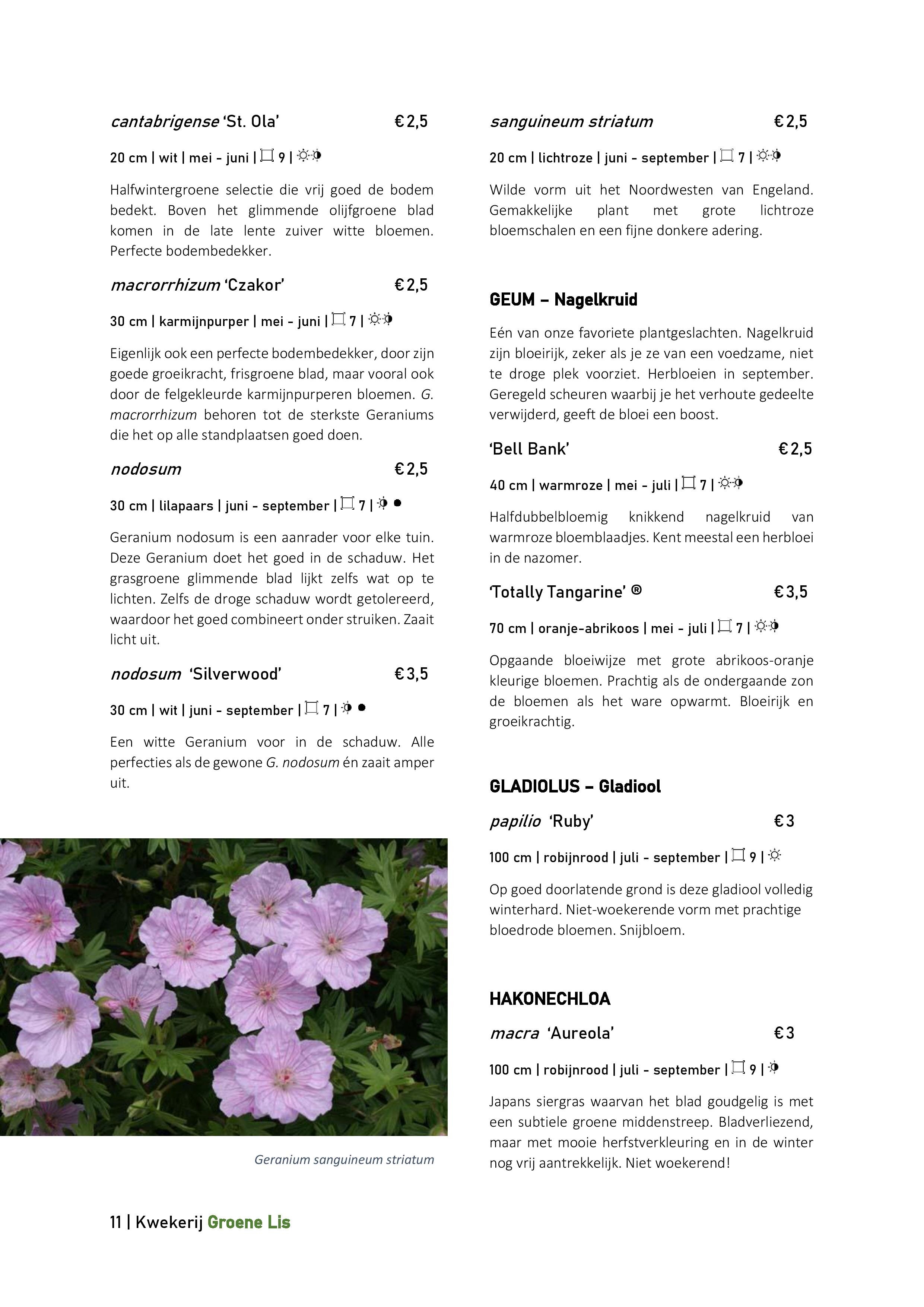 Catalogus_Groene Lis_2020-page-011.jpg