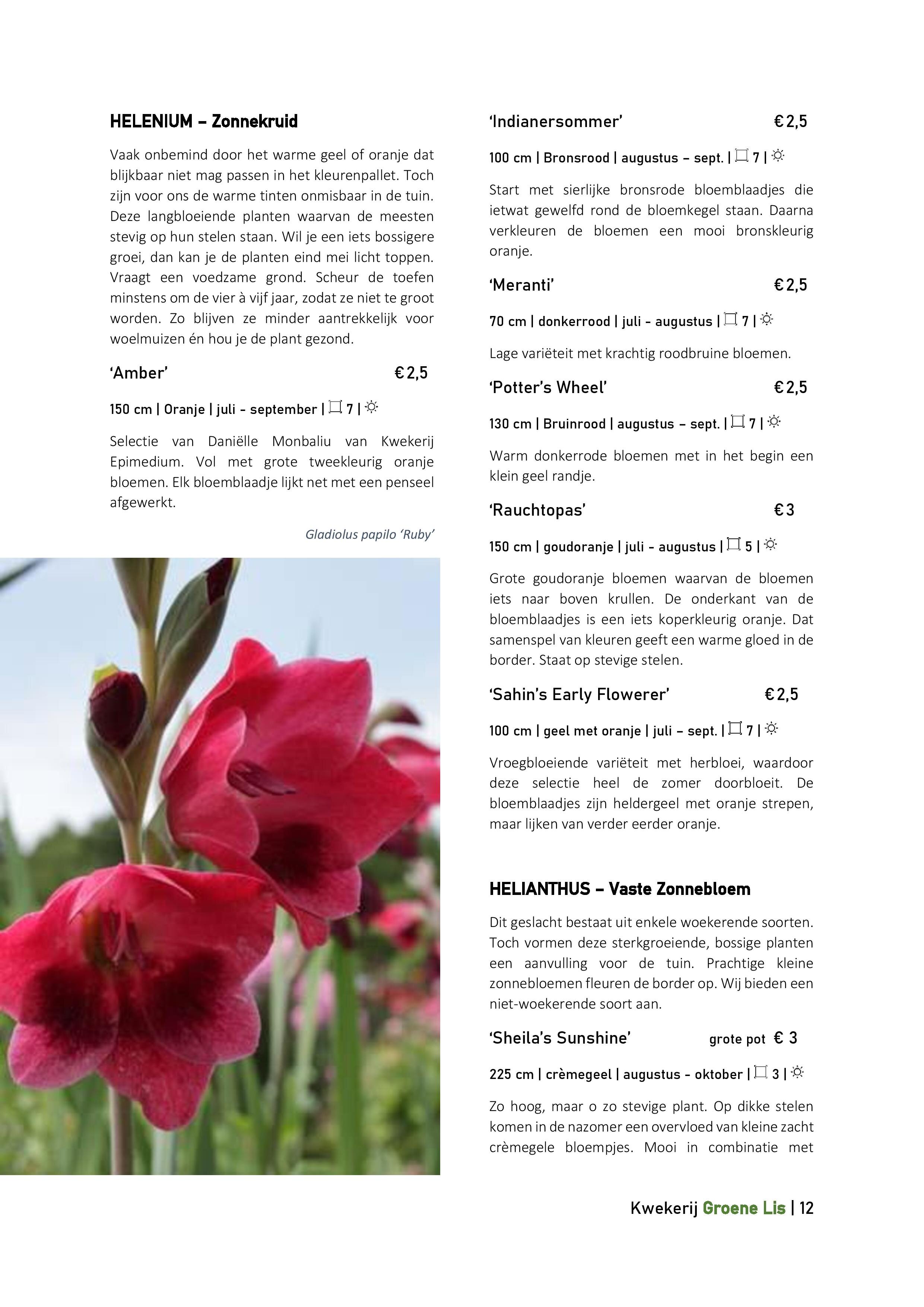 Catalogus_Groene Lis_2020-page-012.jpg