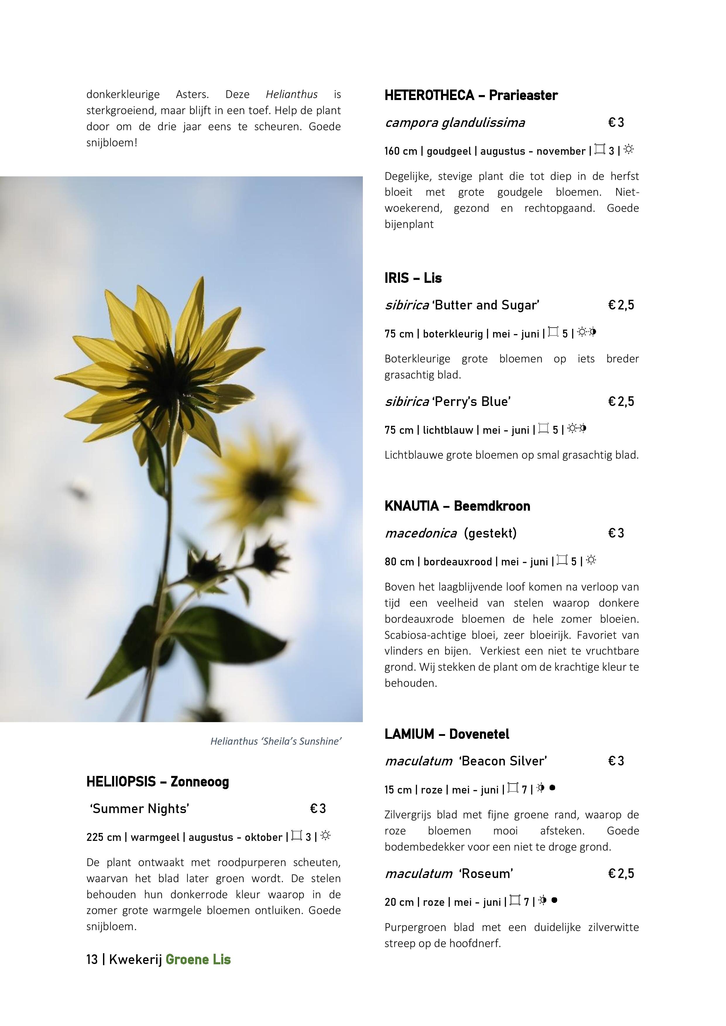 Catalogus_Groene Lis_2020-page-013.jpg