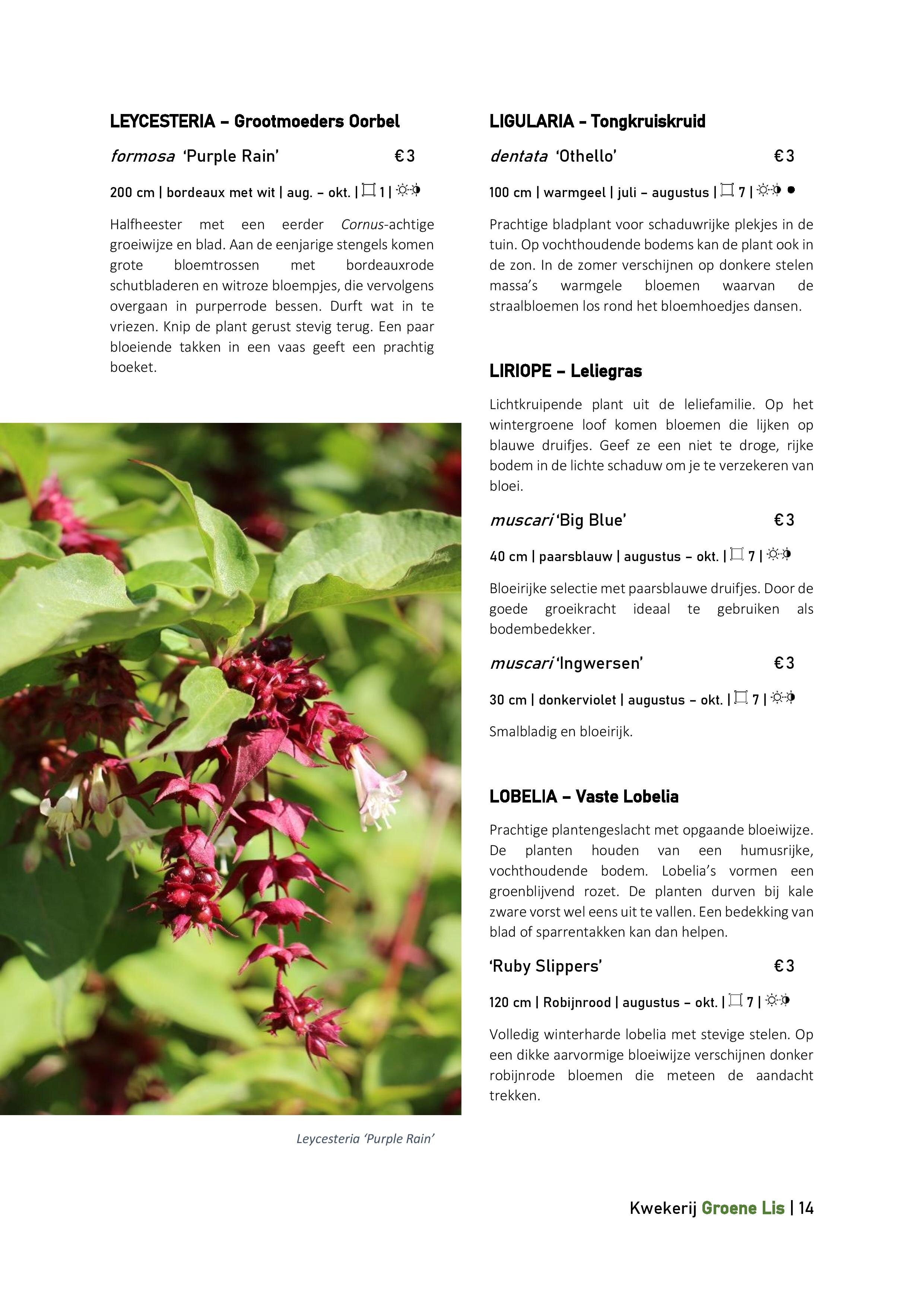 Catalogus_Groene Lis_2020-page-014.jpg