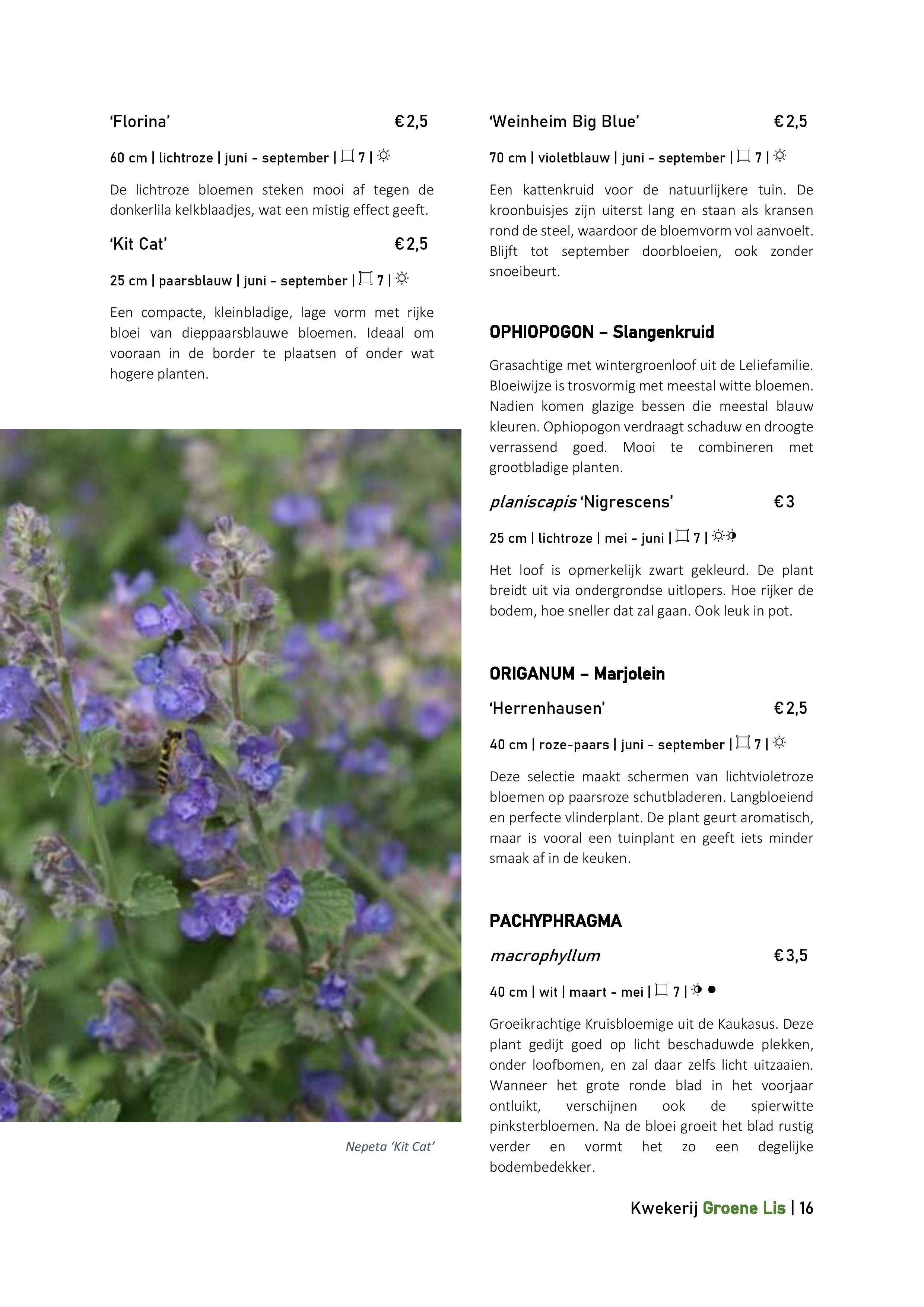 Catalogus_Groene Lis_2020-page-016.jpg