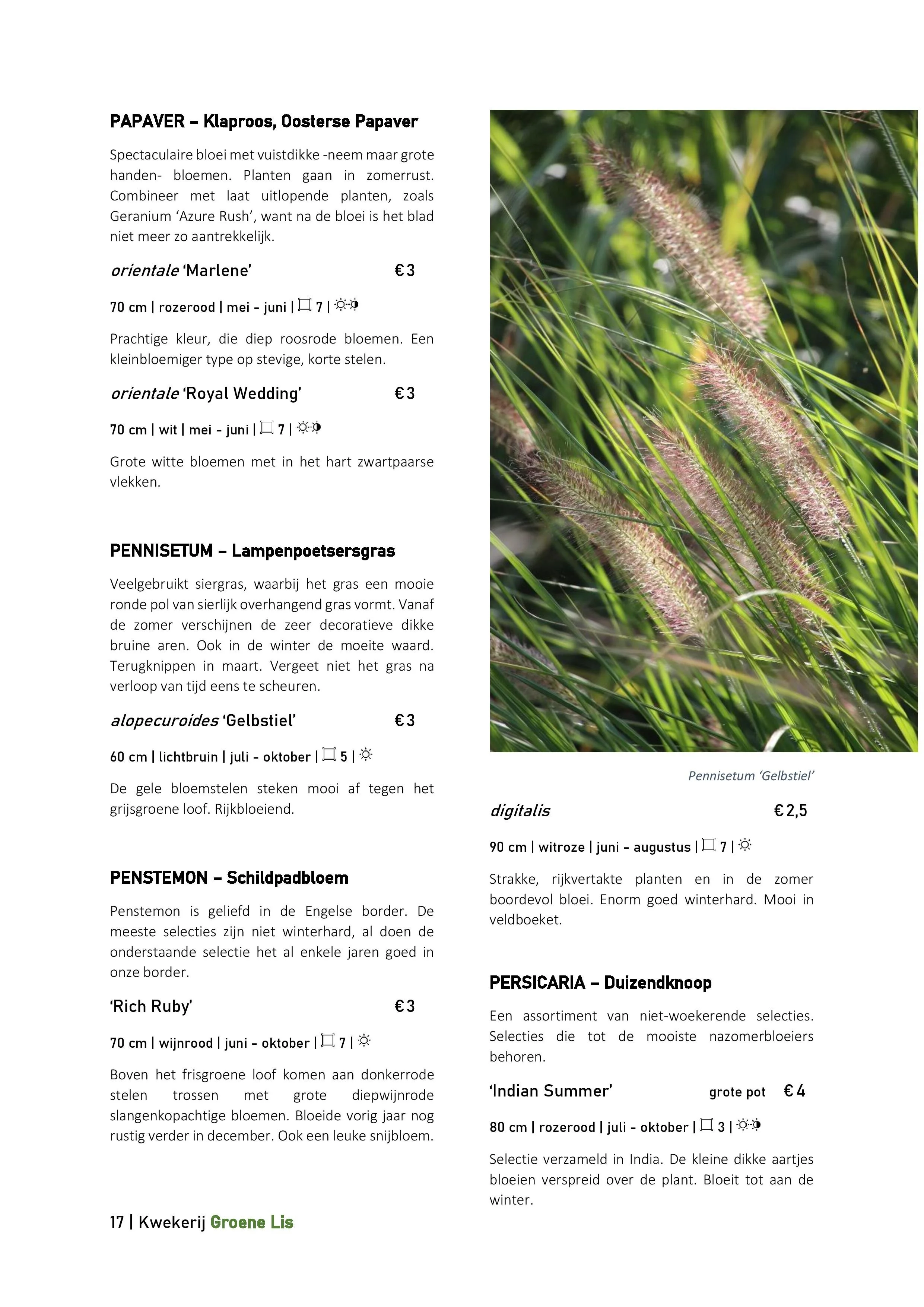 Catalogus_Groene Lis_2020-page-017.jpg