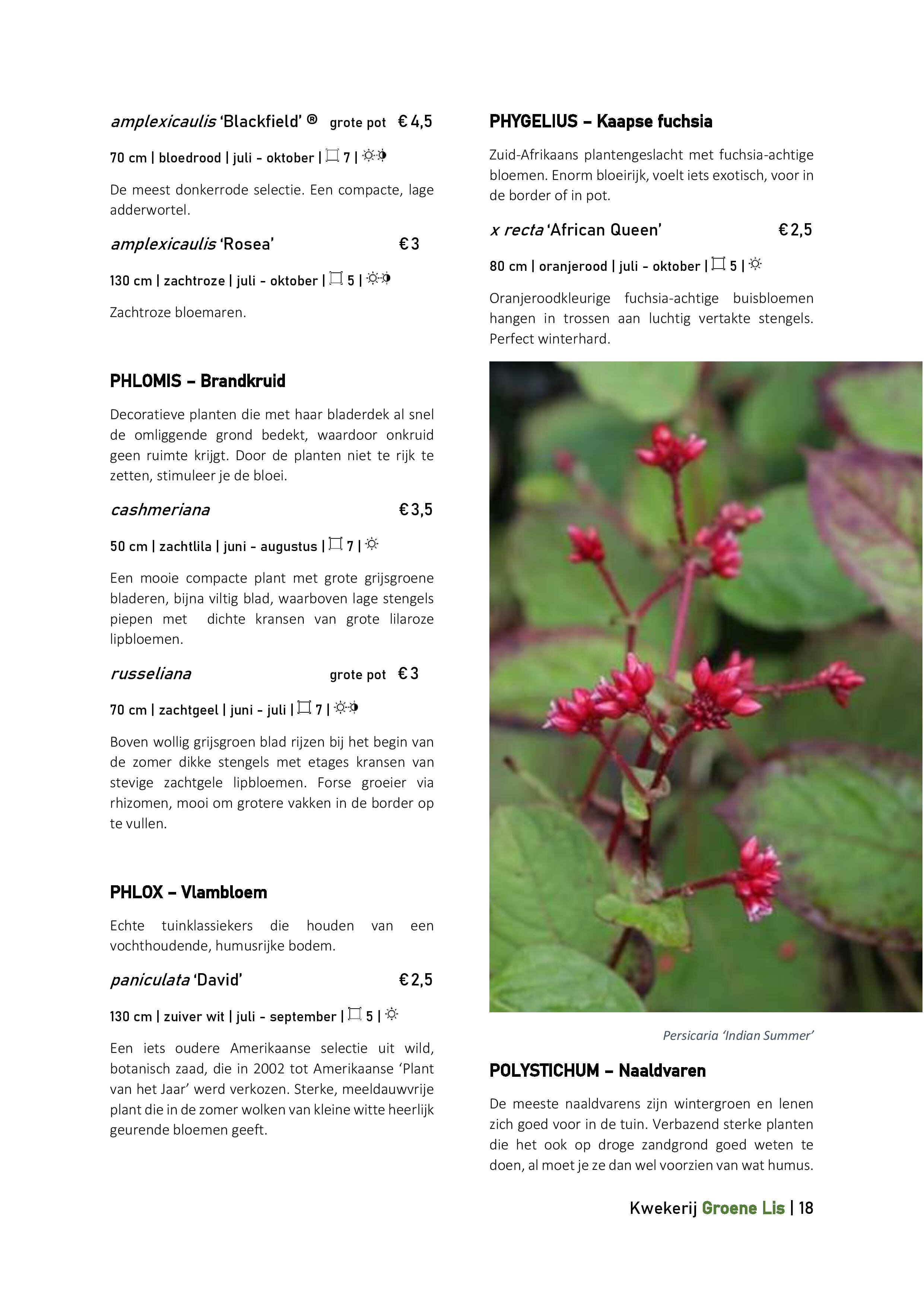 Catalogus_Groene Lis_2020-page-018.jpg