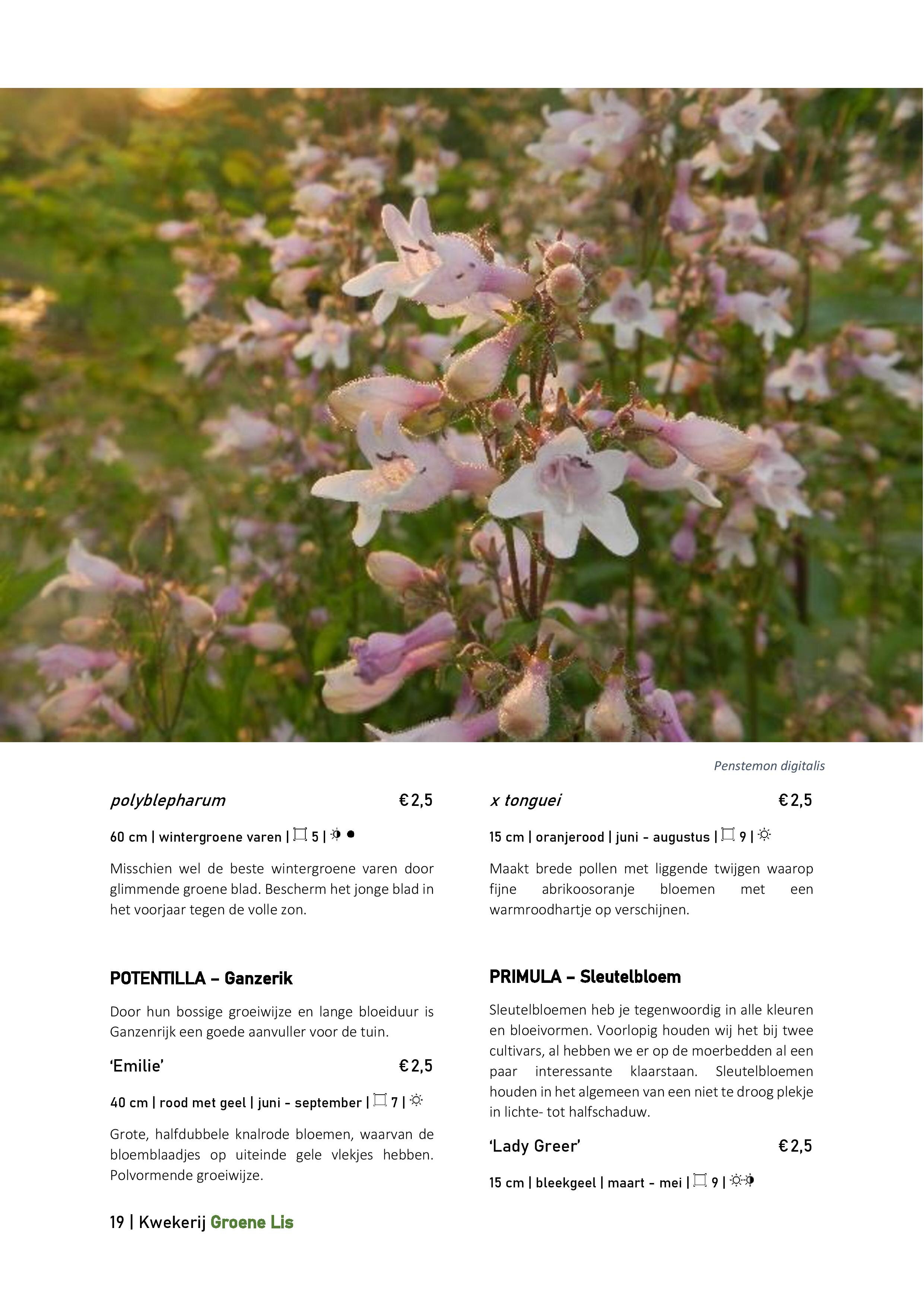 Catalogus_Groene Lis_2020-page-019.jpg