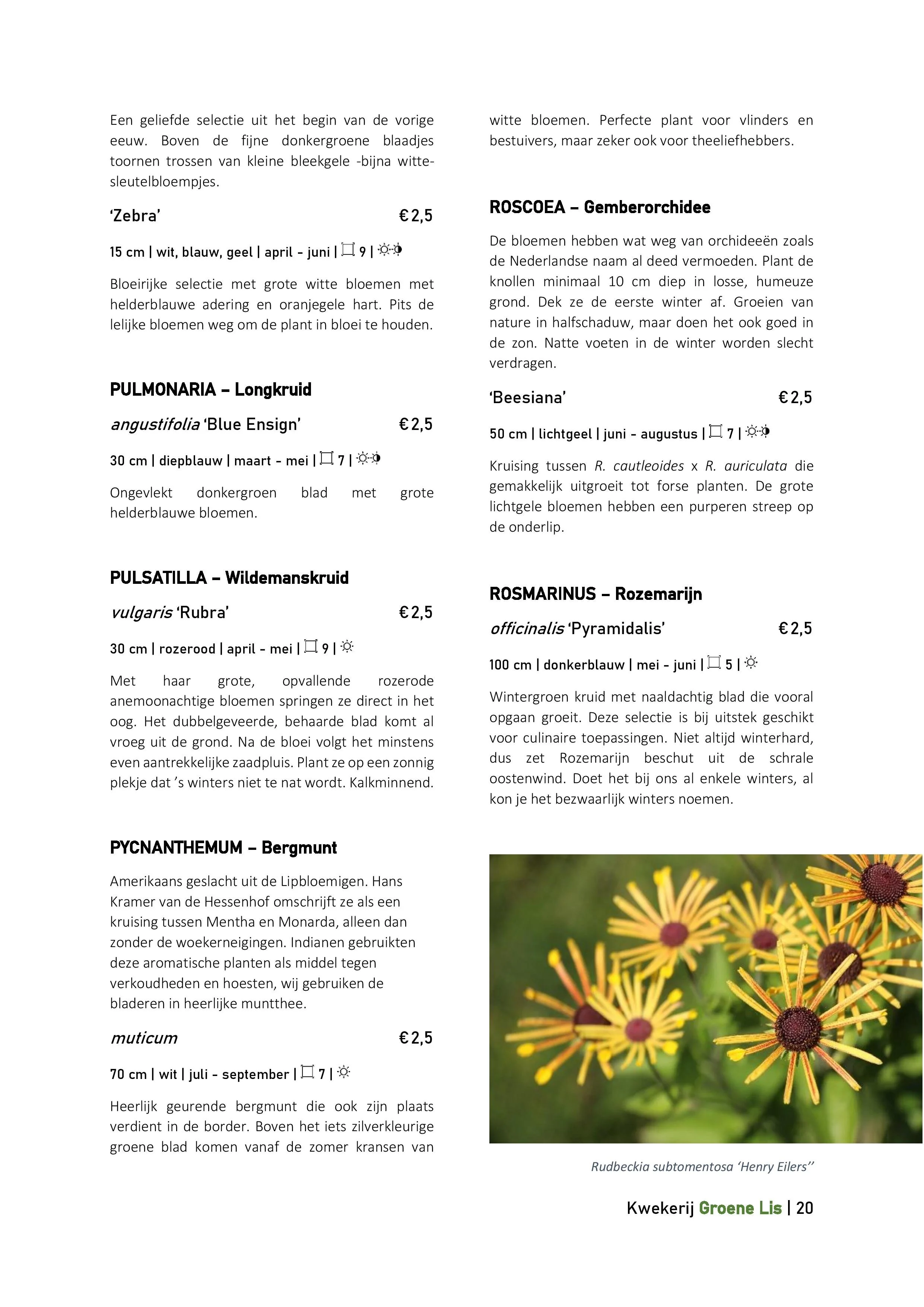Catalogus_Groene Lis_2020-page-020.jpg