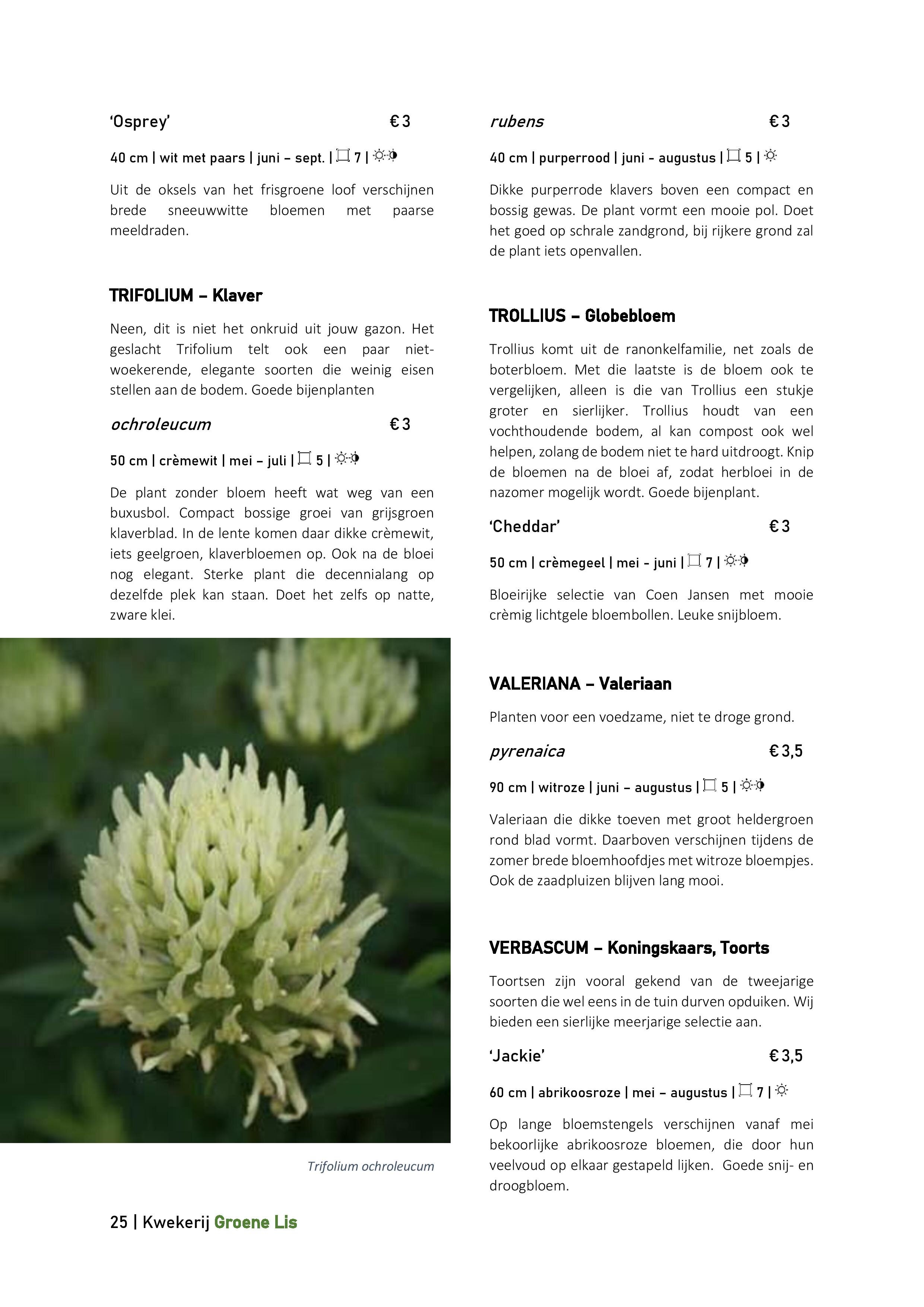 Catalogus_Groene Lis_2020-page-025.jpg