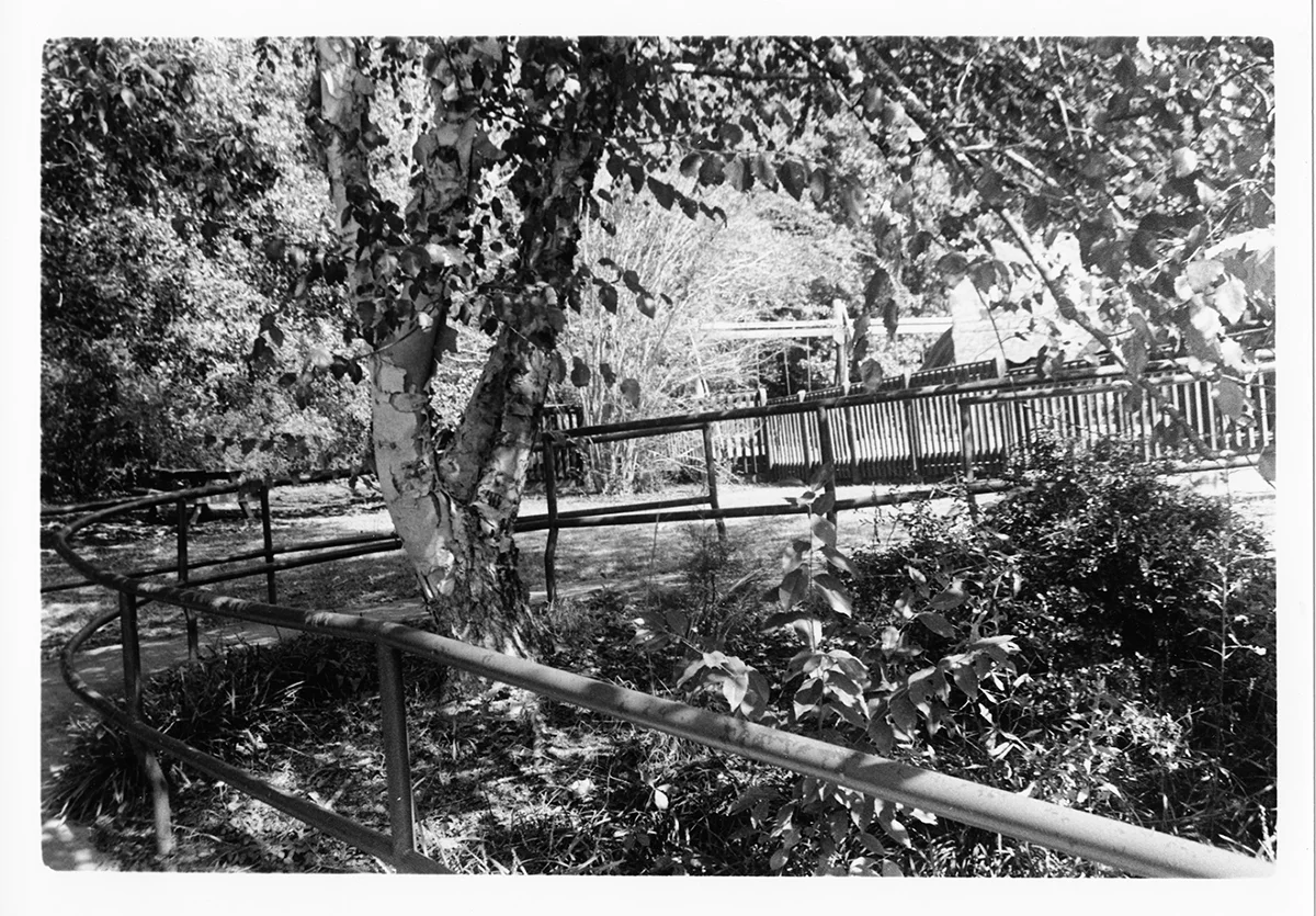 Depth of Field 2.jpg