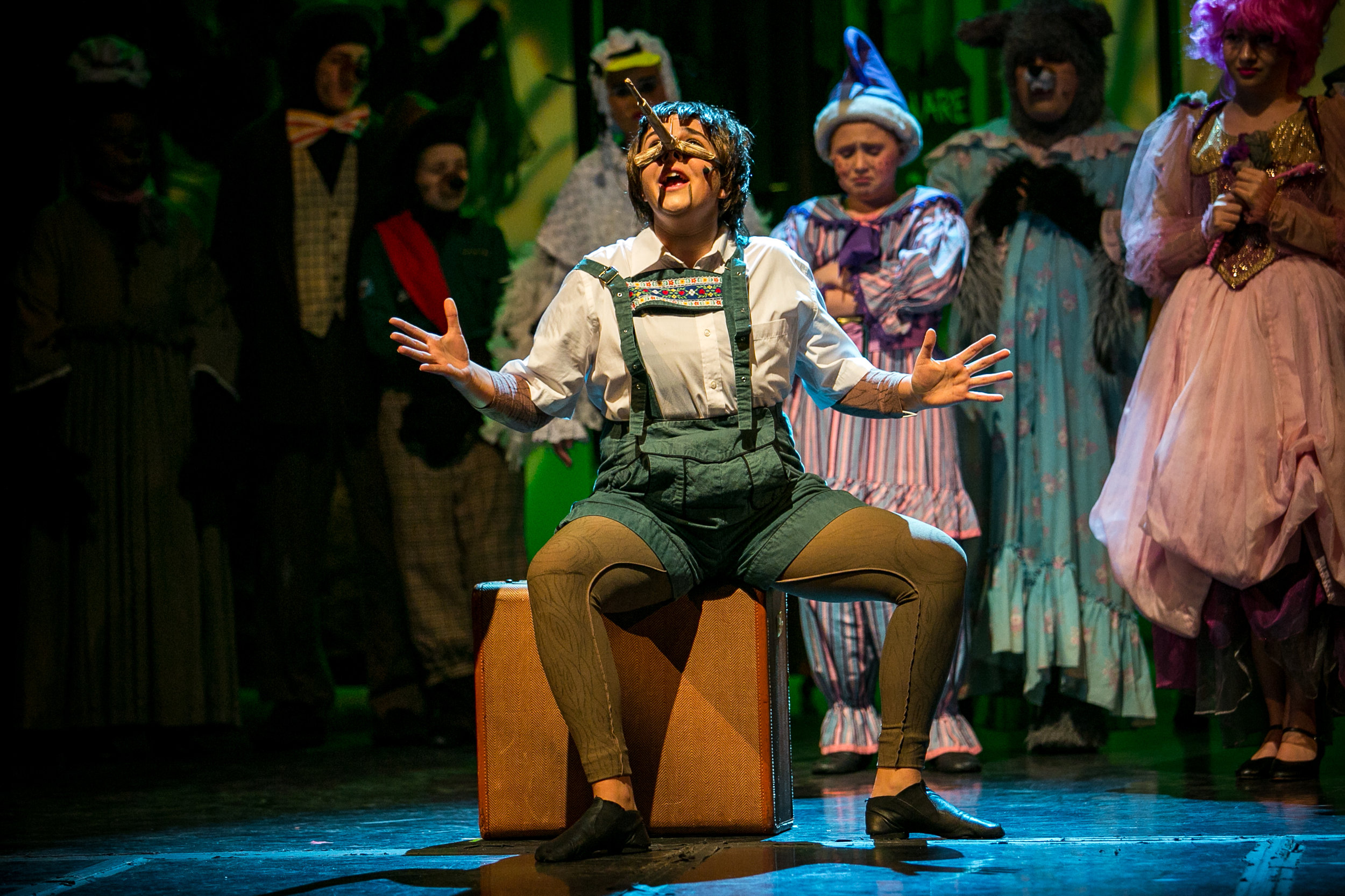 shrek-musical-9.jpg