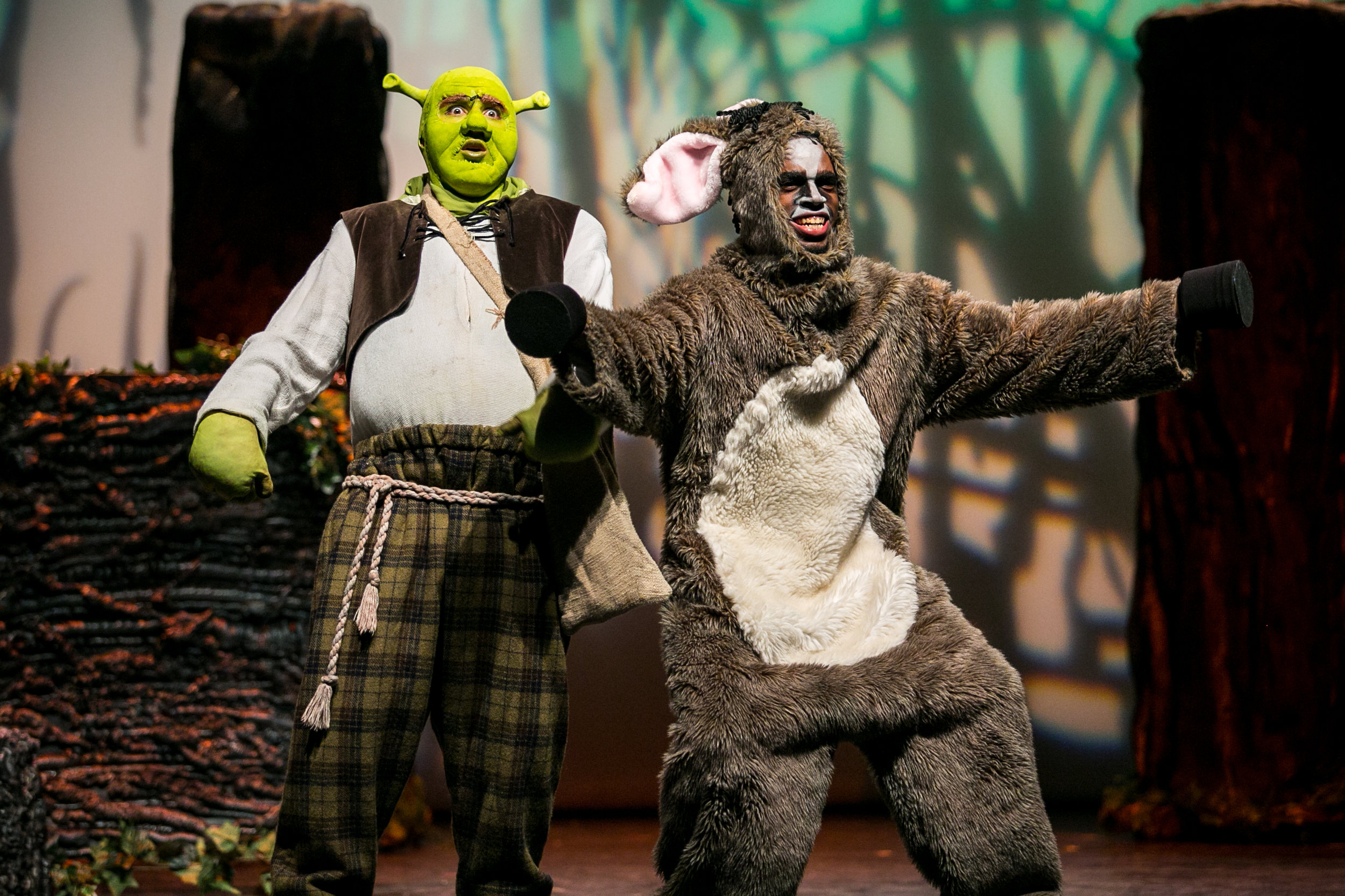 shrek-musical-21.jpg