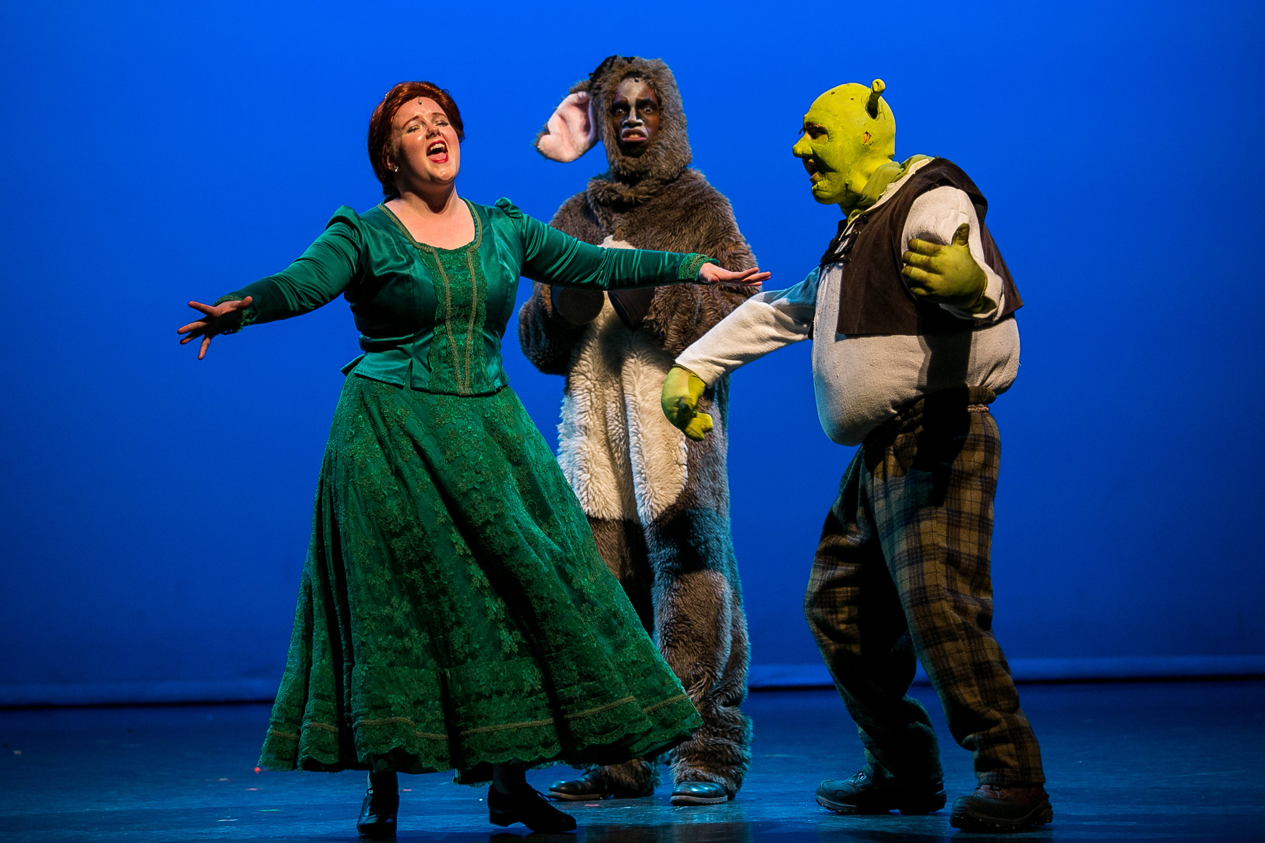 shrek-musical-78.jpg