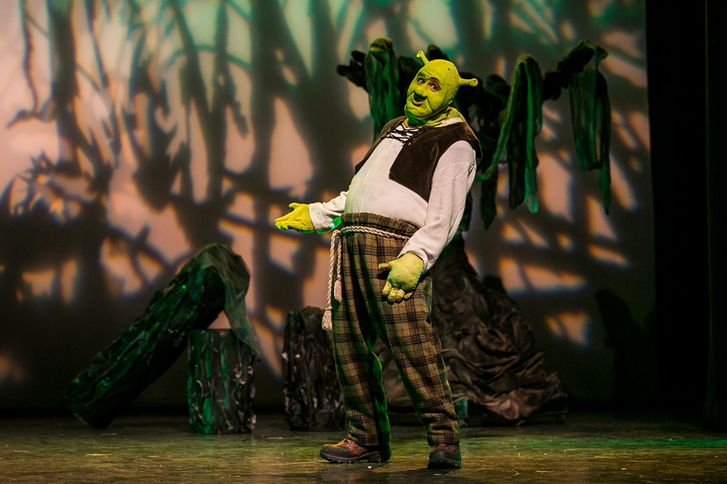 shrek-musical-6.jpg