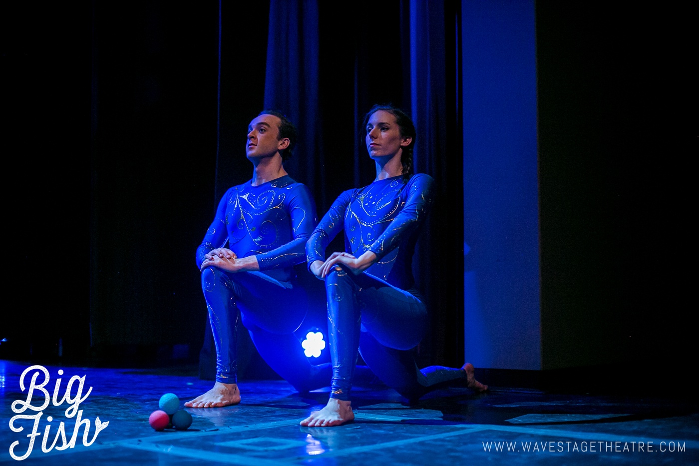 big-fish-newmarket-theatre-toronto-wavestage_0065.jpg