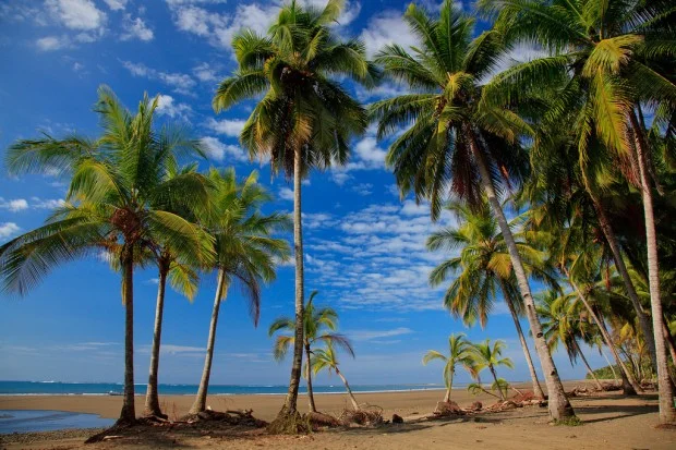uvita-costa-rica-01.jpg