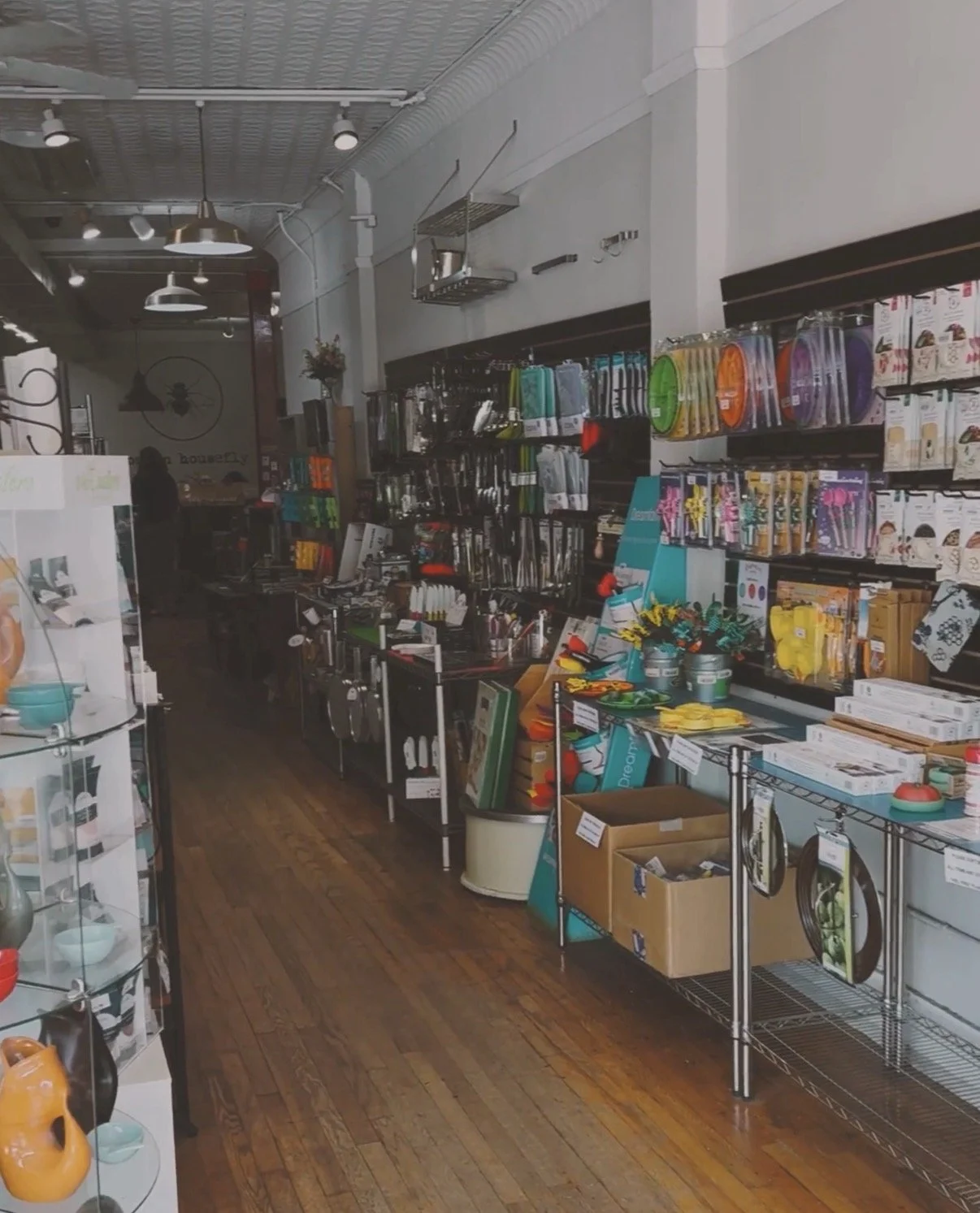 Common Housefly: A Kitchen Emporium