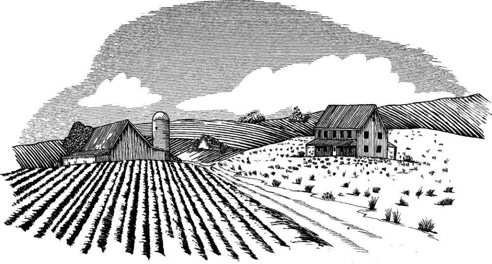 Asheville Distillery Asheville NC Whiskey Oak and Grist Distillery