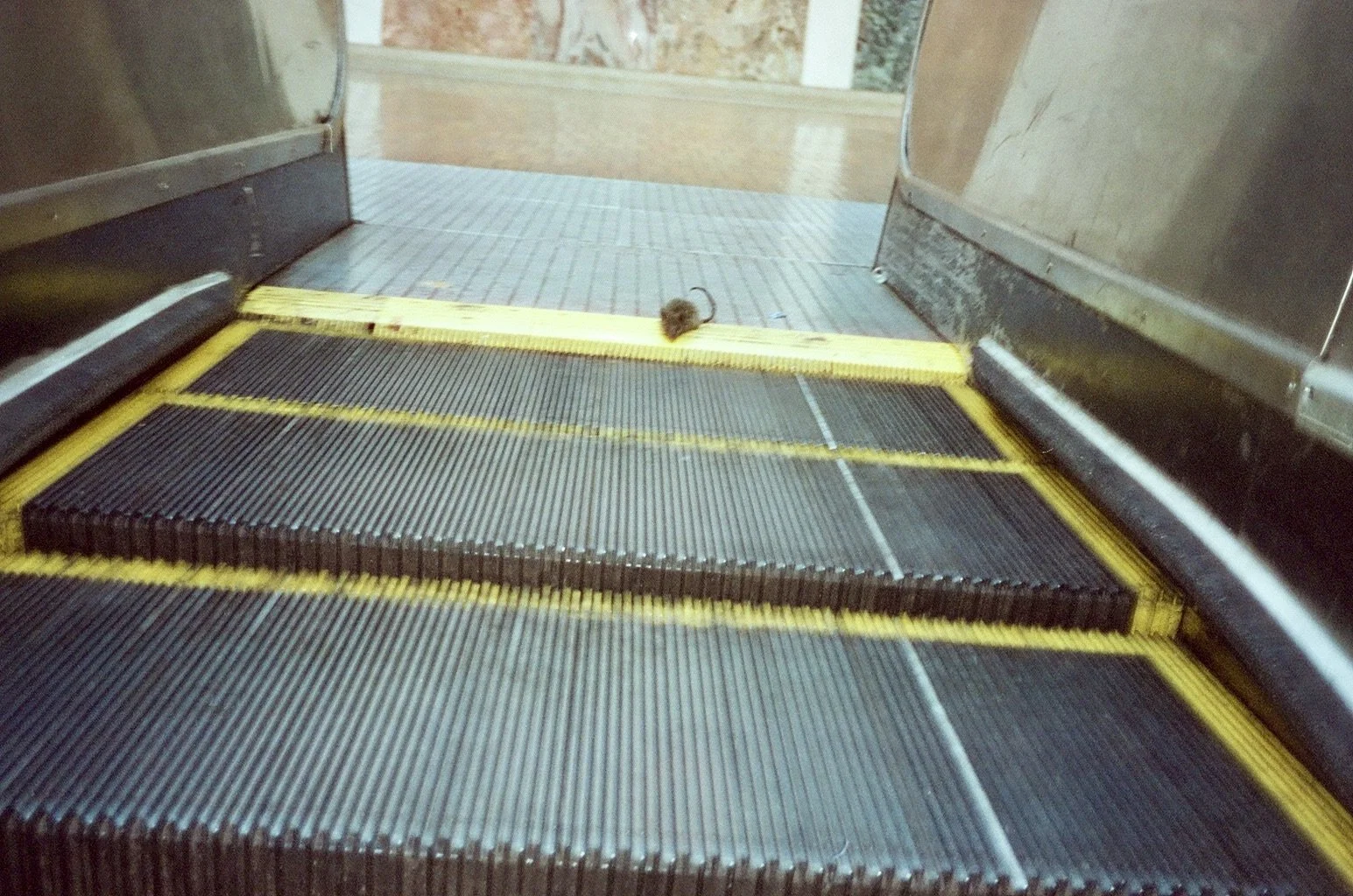 000098550009.jpg