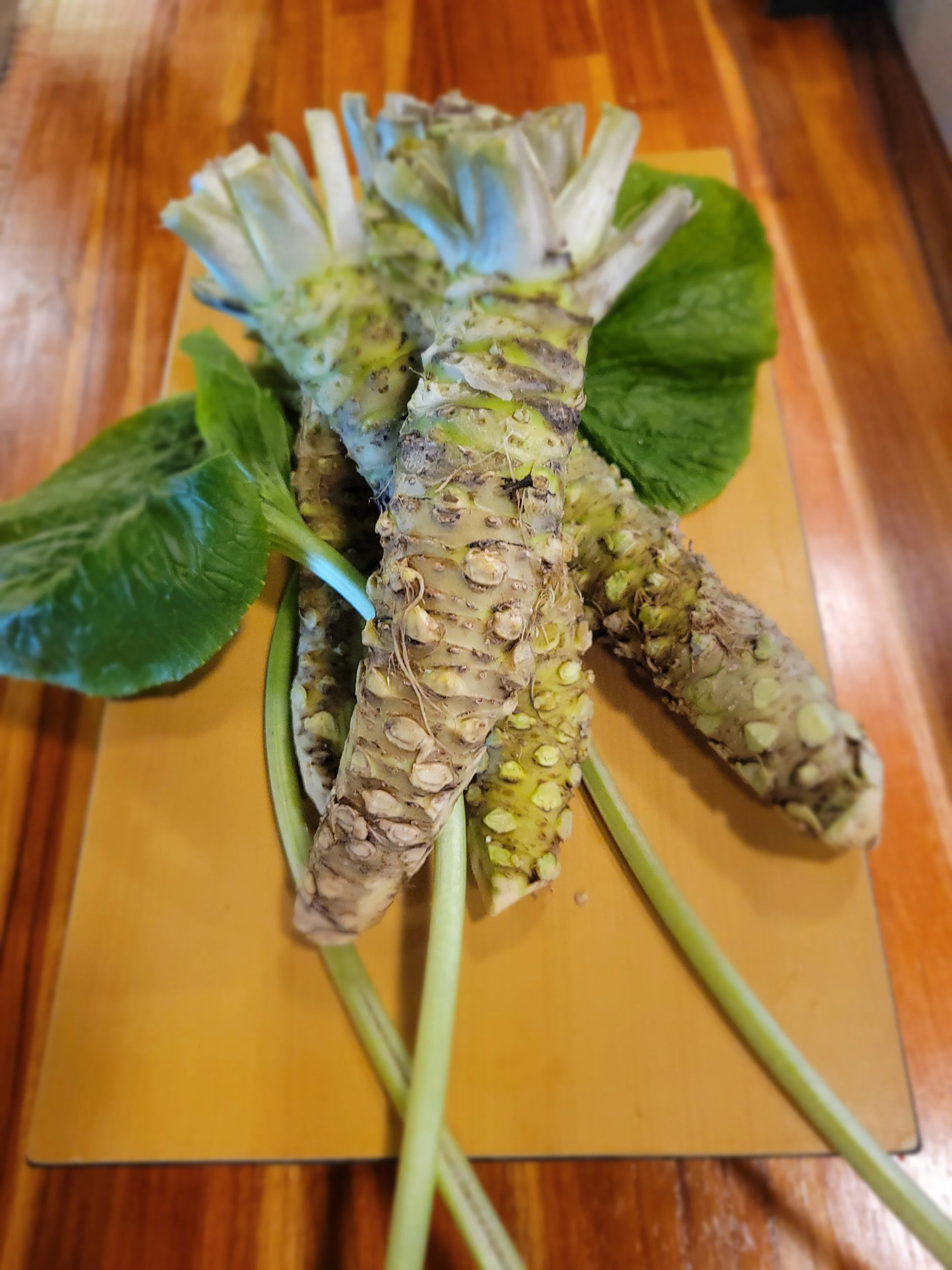 Fresh Wasabi.jpg